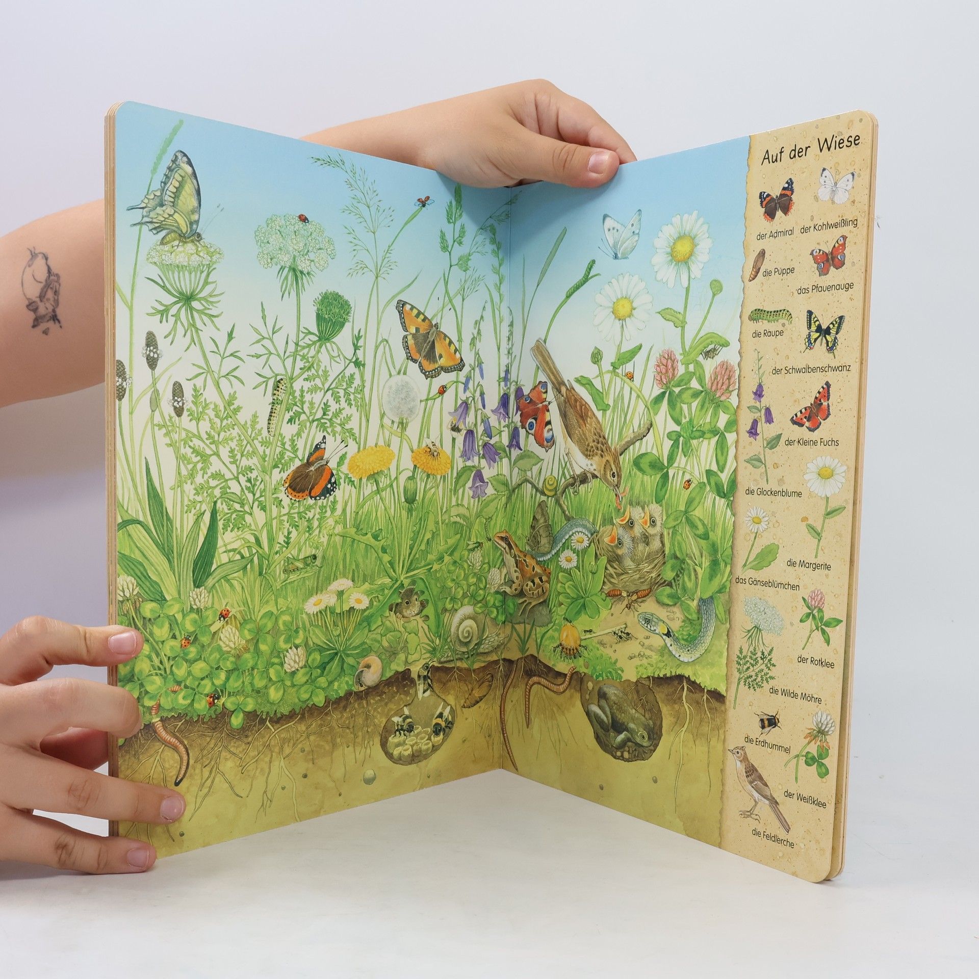 Christine Henkel Mein erstes Wimmelbuch - Feld und Wiese