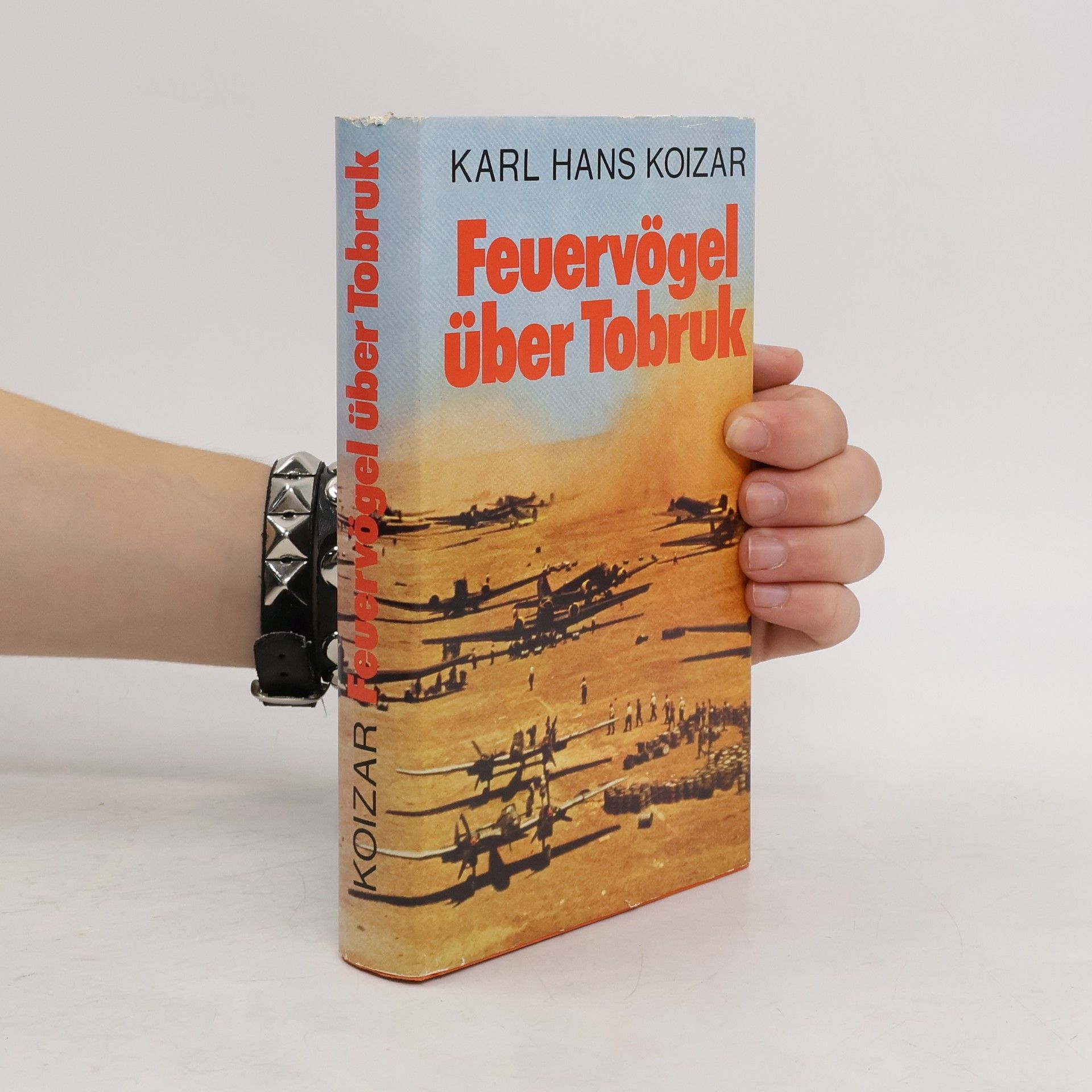Karl Hans Koizar Feuervögel über Tobruk