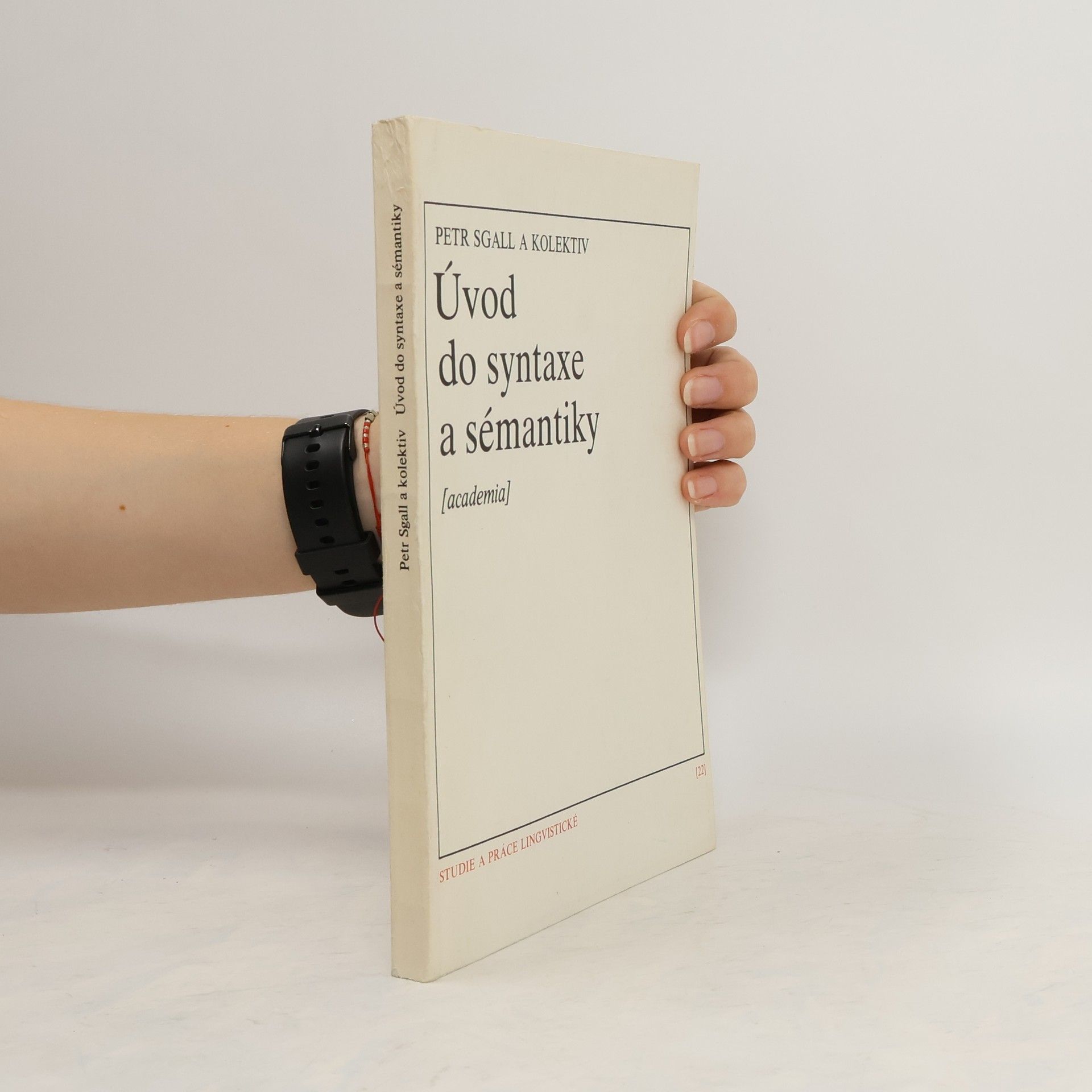 kolektiv Úvod do syntaxe a sémantiky