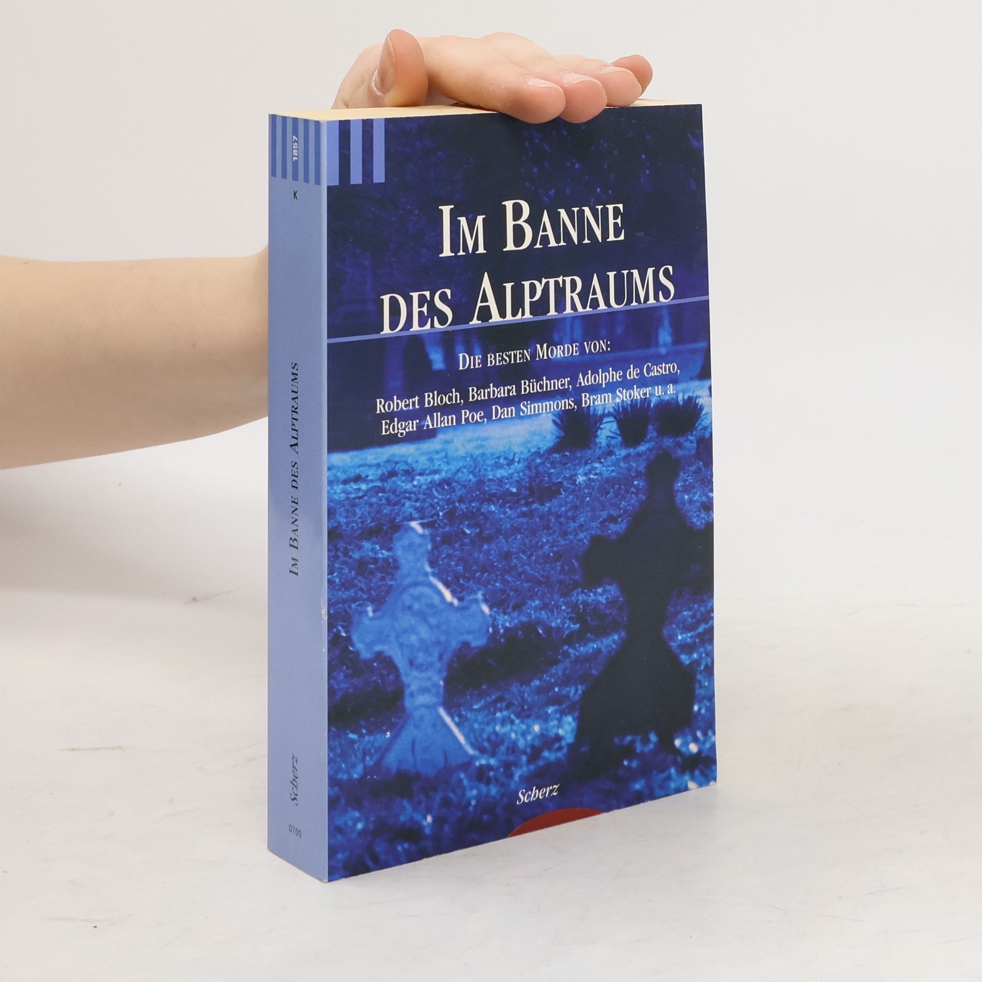 Joachim Körber Im Banne des Alptraums