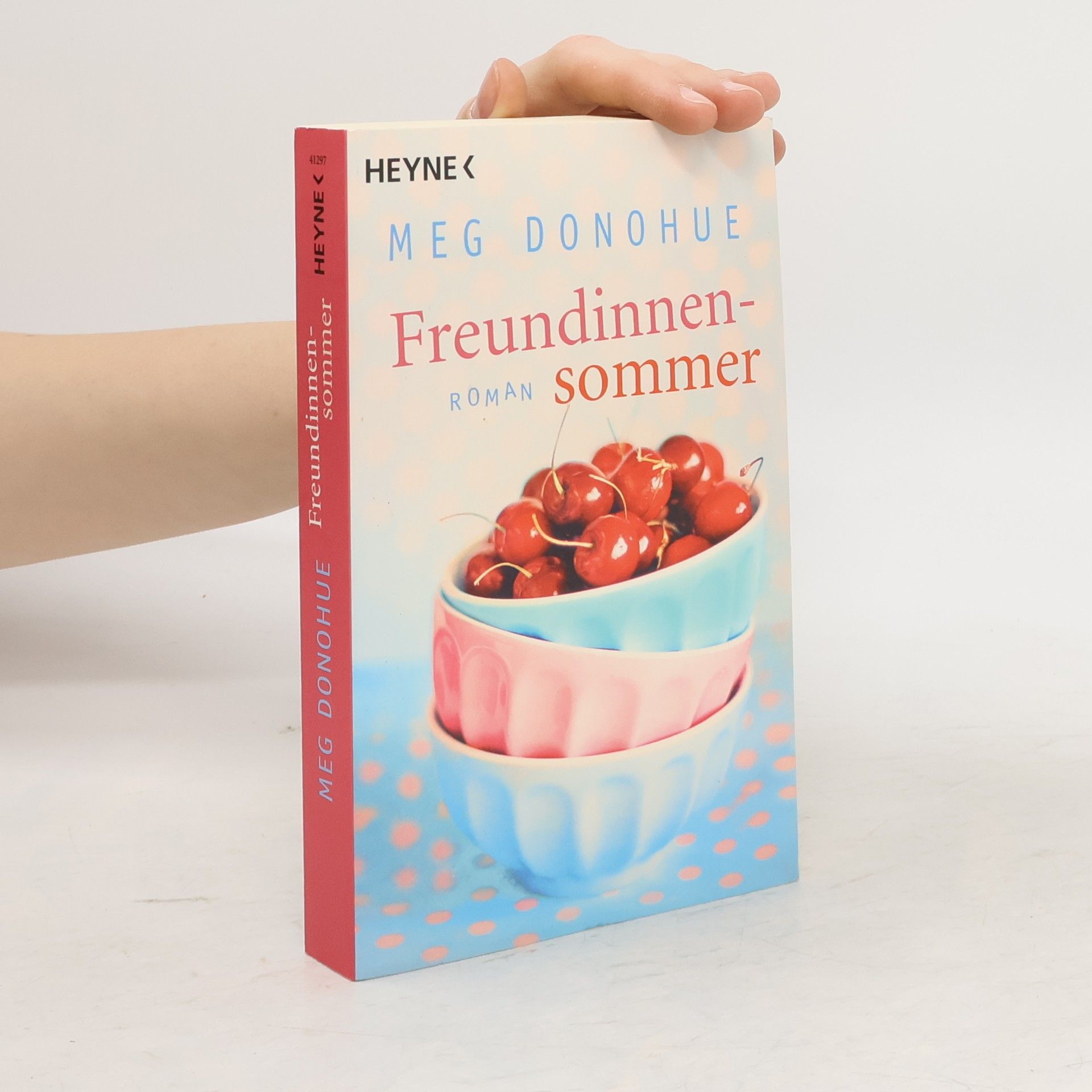 Meg Donohue Freundinnensommer
