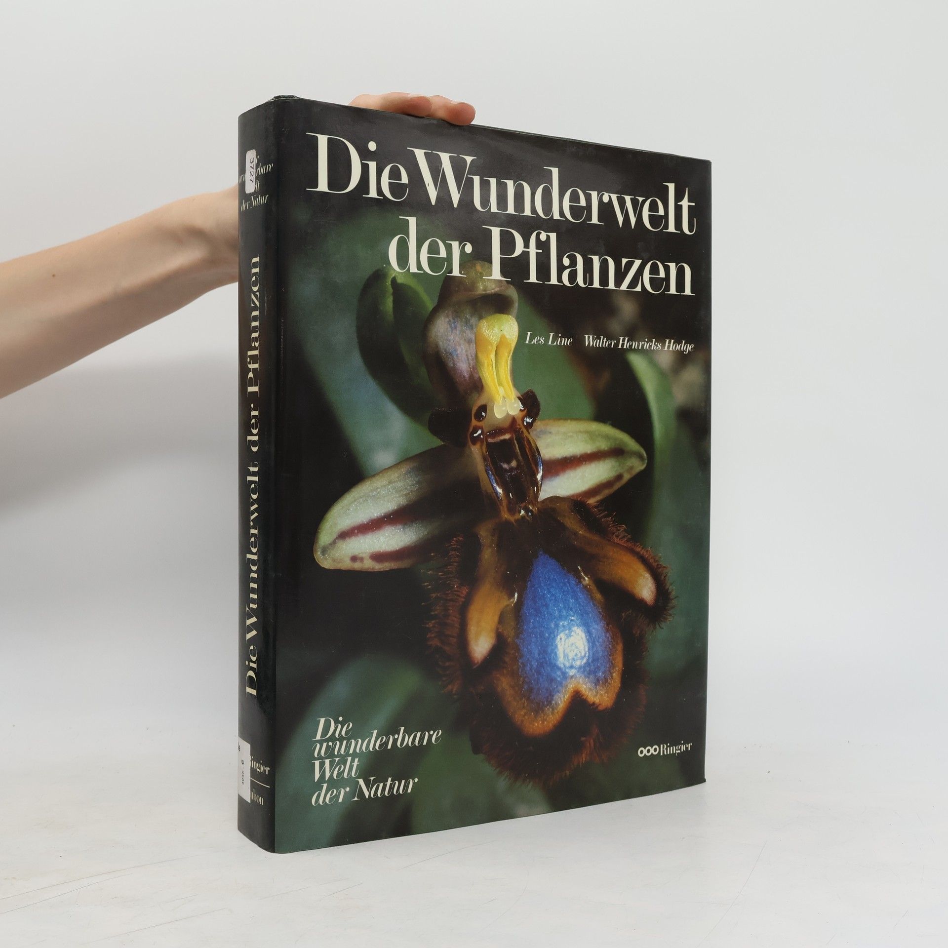 Les Line Die Wunderwelt der Pflanzen