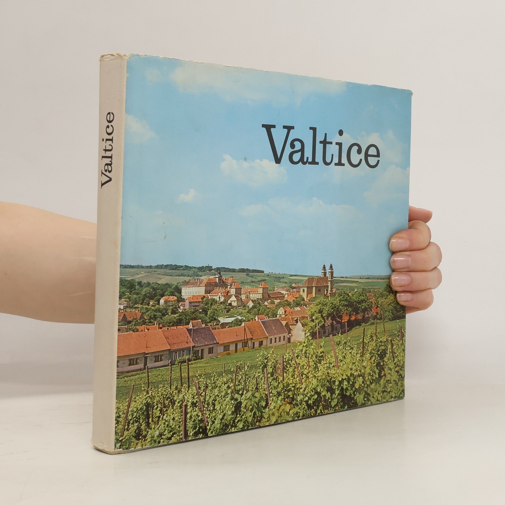 kolektiv Valtice