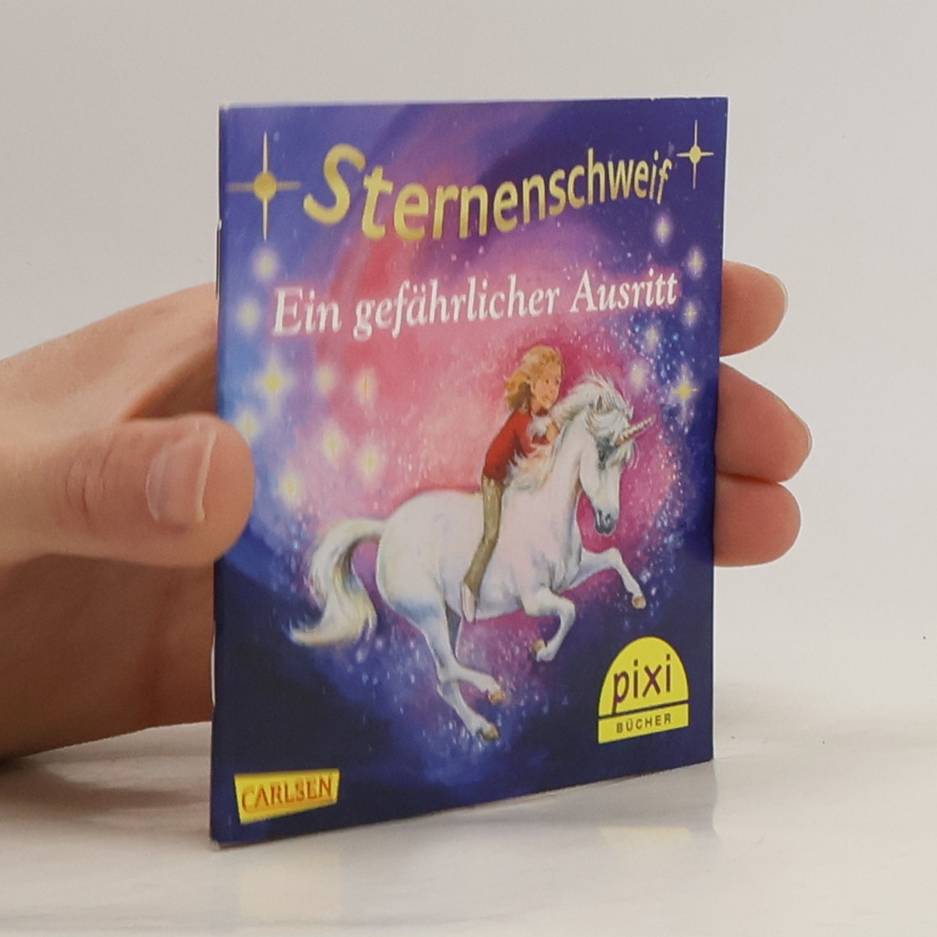 Autorenkollektiv Sternenschweif. Ein gefährlicher Ausritt