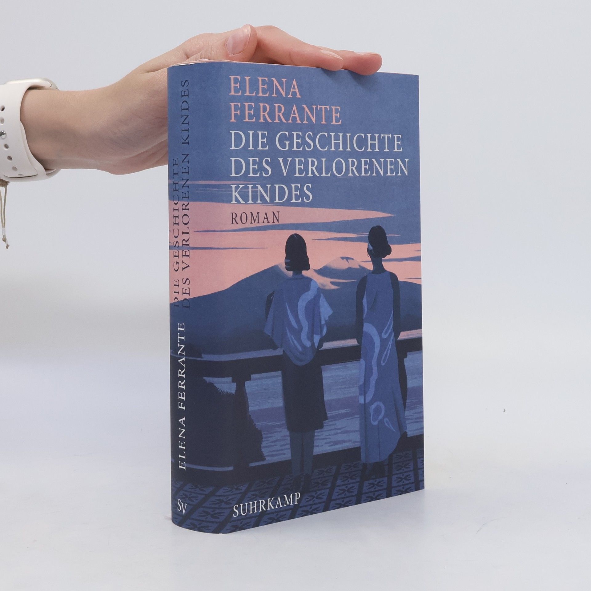 Elena Ferrante Die Geschichte Des Verlorenen Kindes