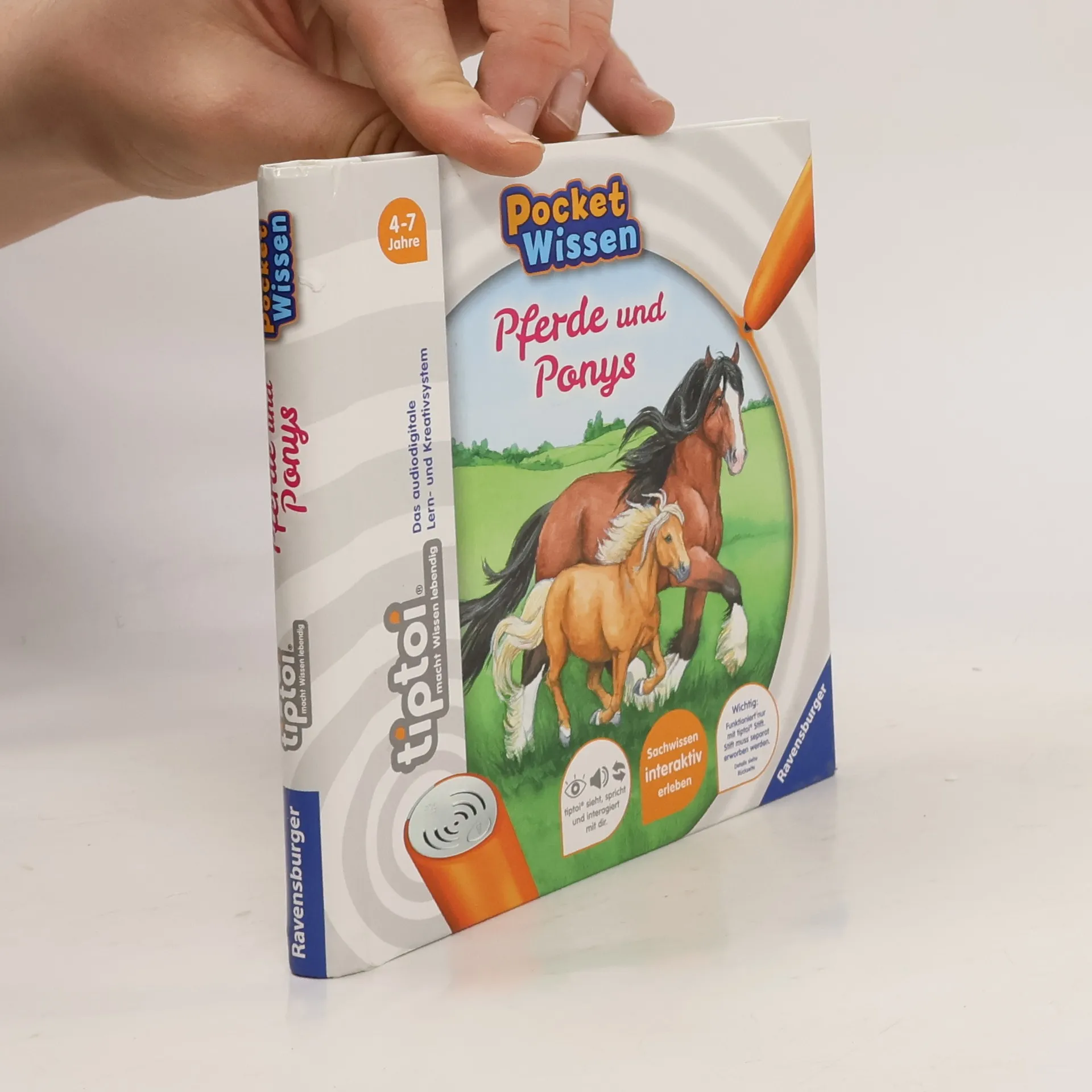 Pferde und Ponys | Buch | Yvonne Follert