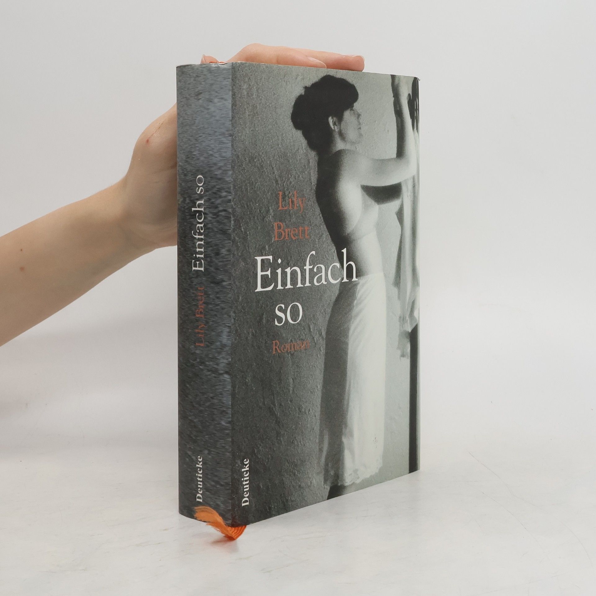 Lily Brett Einfach so
