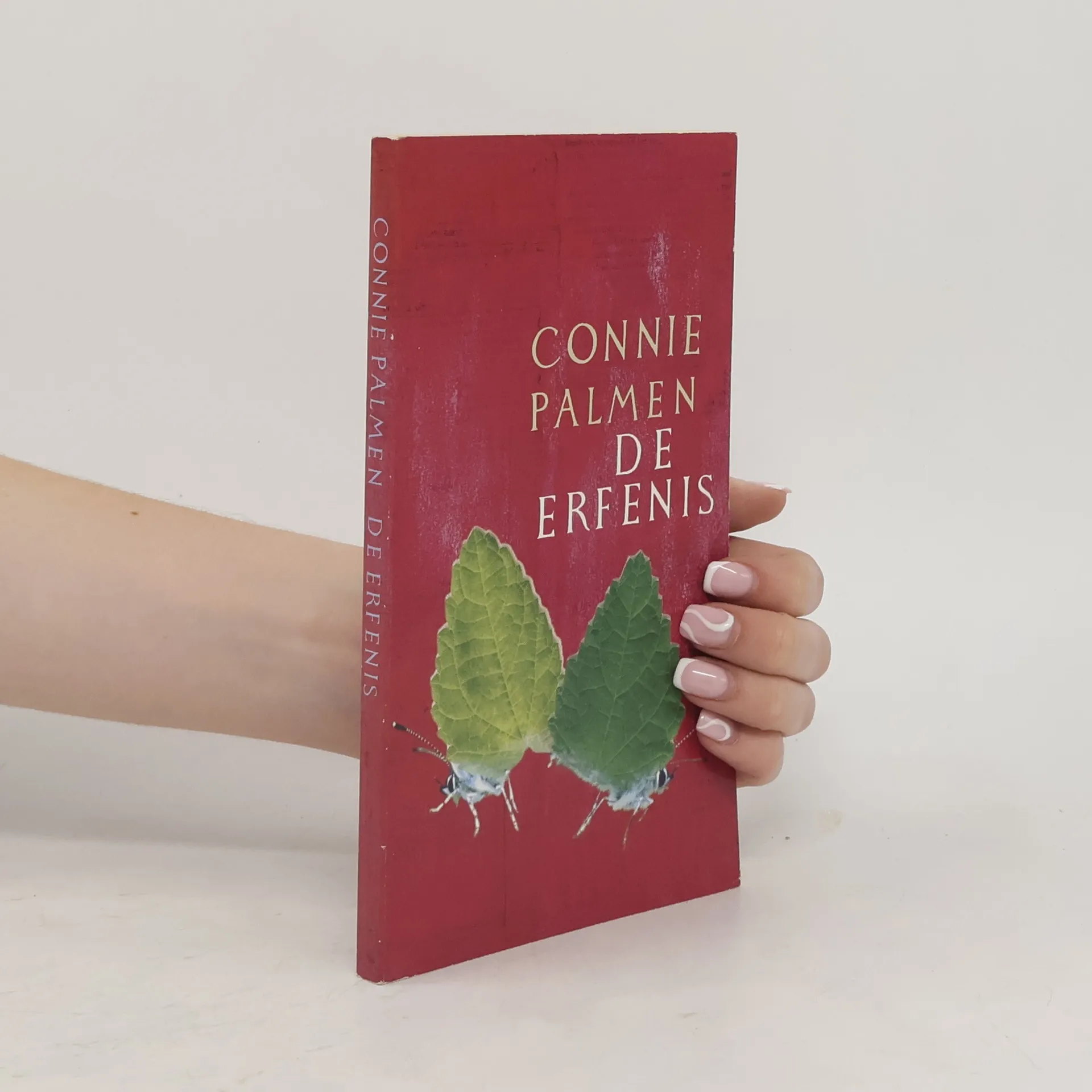 De erfenis | Book | Connie Palmen