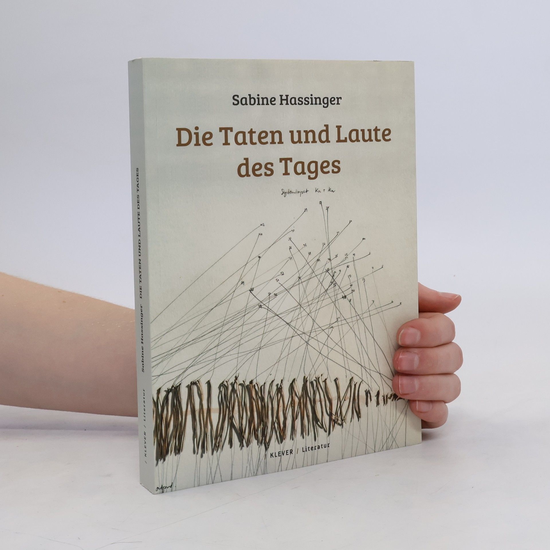 Sabine Hassinger Die Taten und Laute des Tages