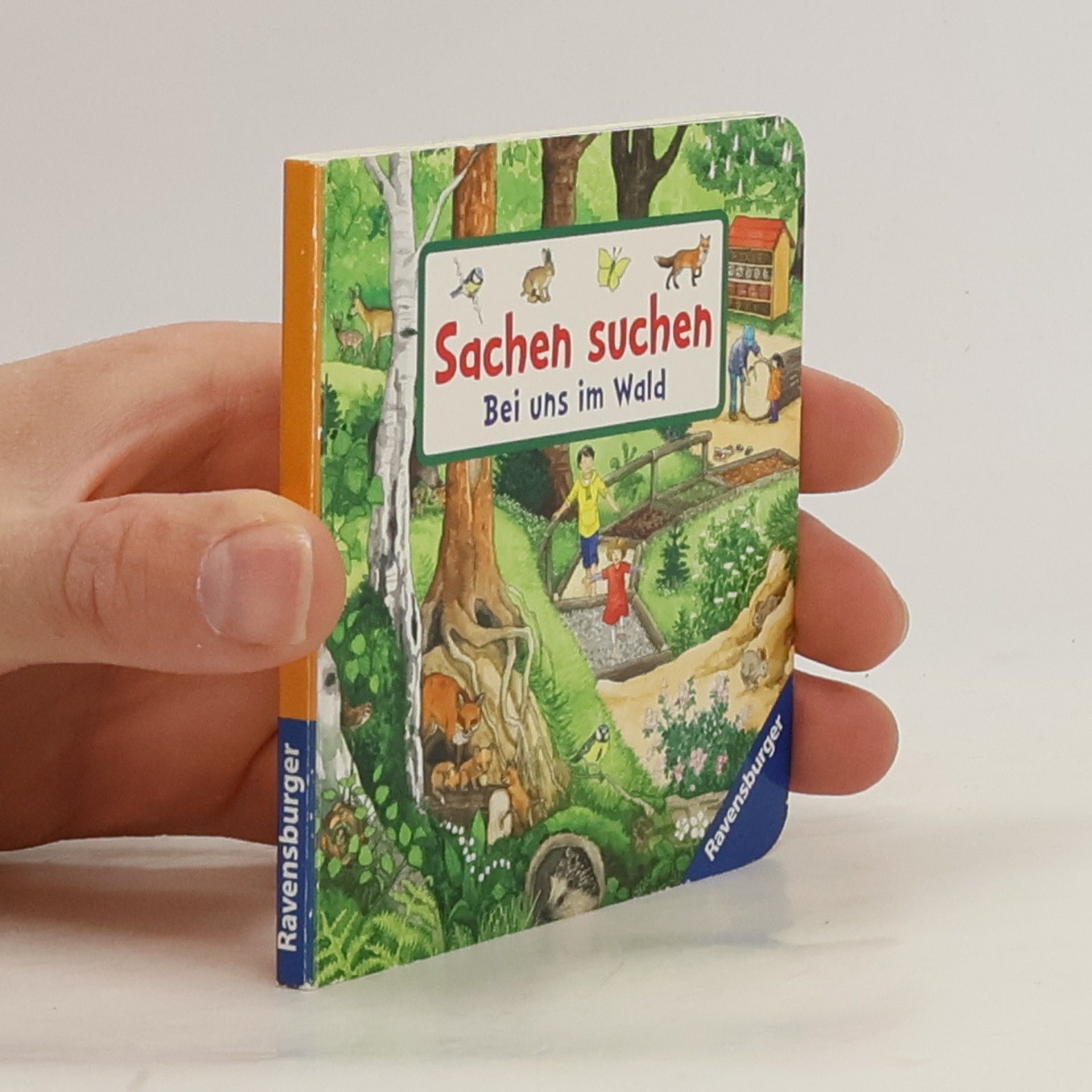 Anne Ebert Sachen suchen bei uns im Wald