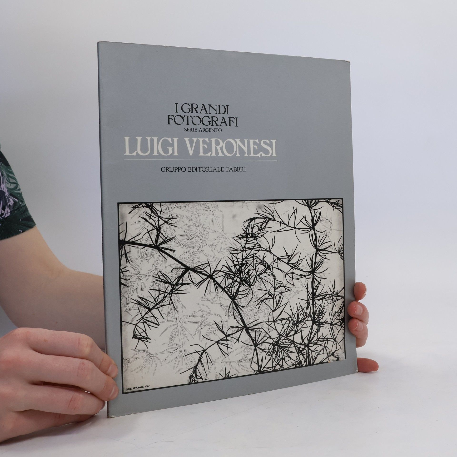 kolektiv Luigi Veronesi