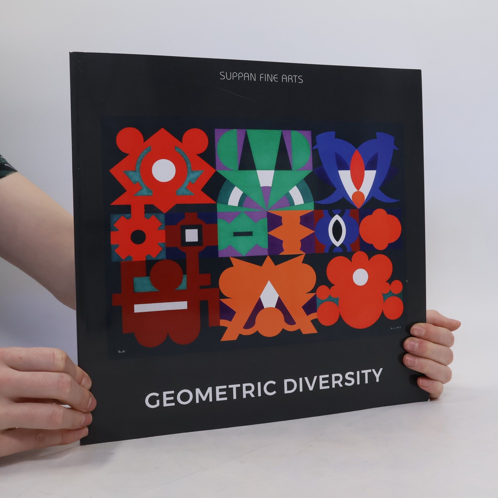 Collective Suppan Fine Arts. Geometric Diversity