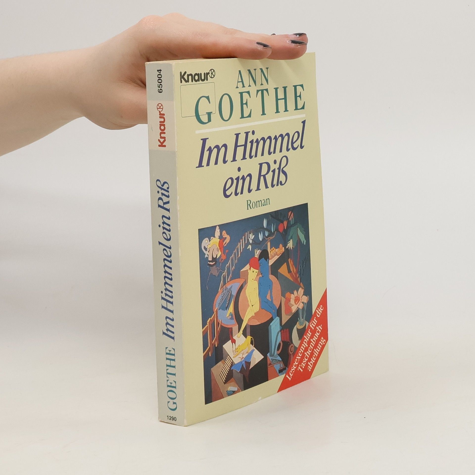 Ann Goethe Im Himmel ein Riß. Roman