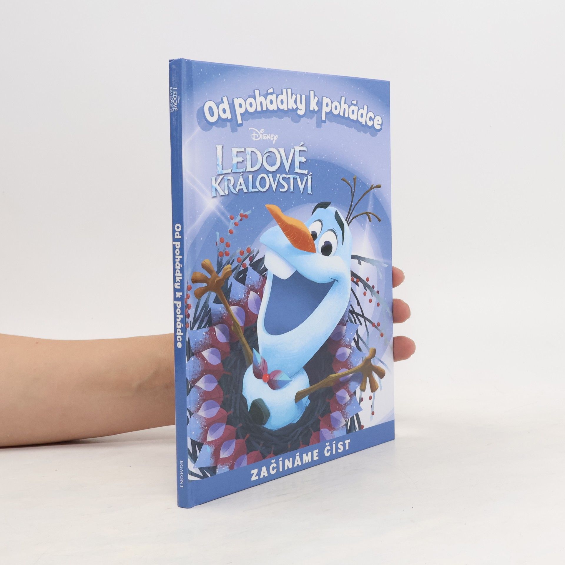 kolektiv Od pohádky k pohádce. Ledové království
