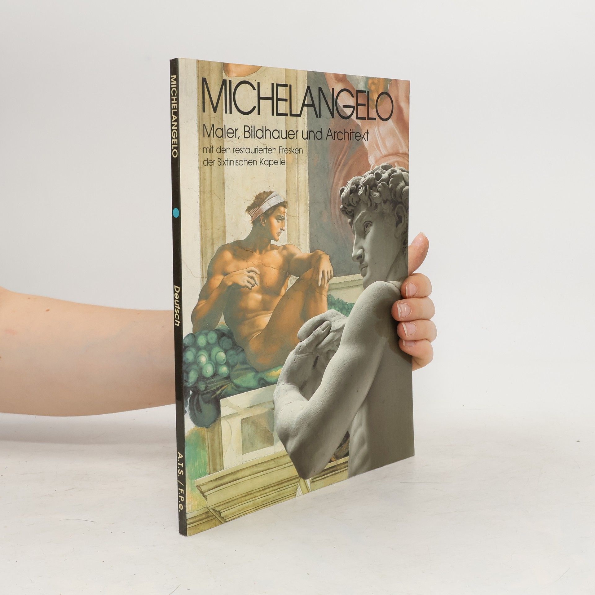 Angelo Tartuferi Michelangelo - Maler, Bildhauer und Architekt