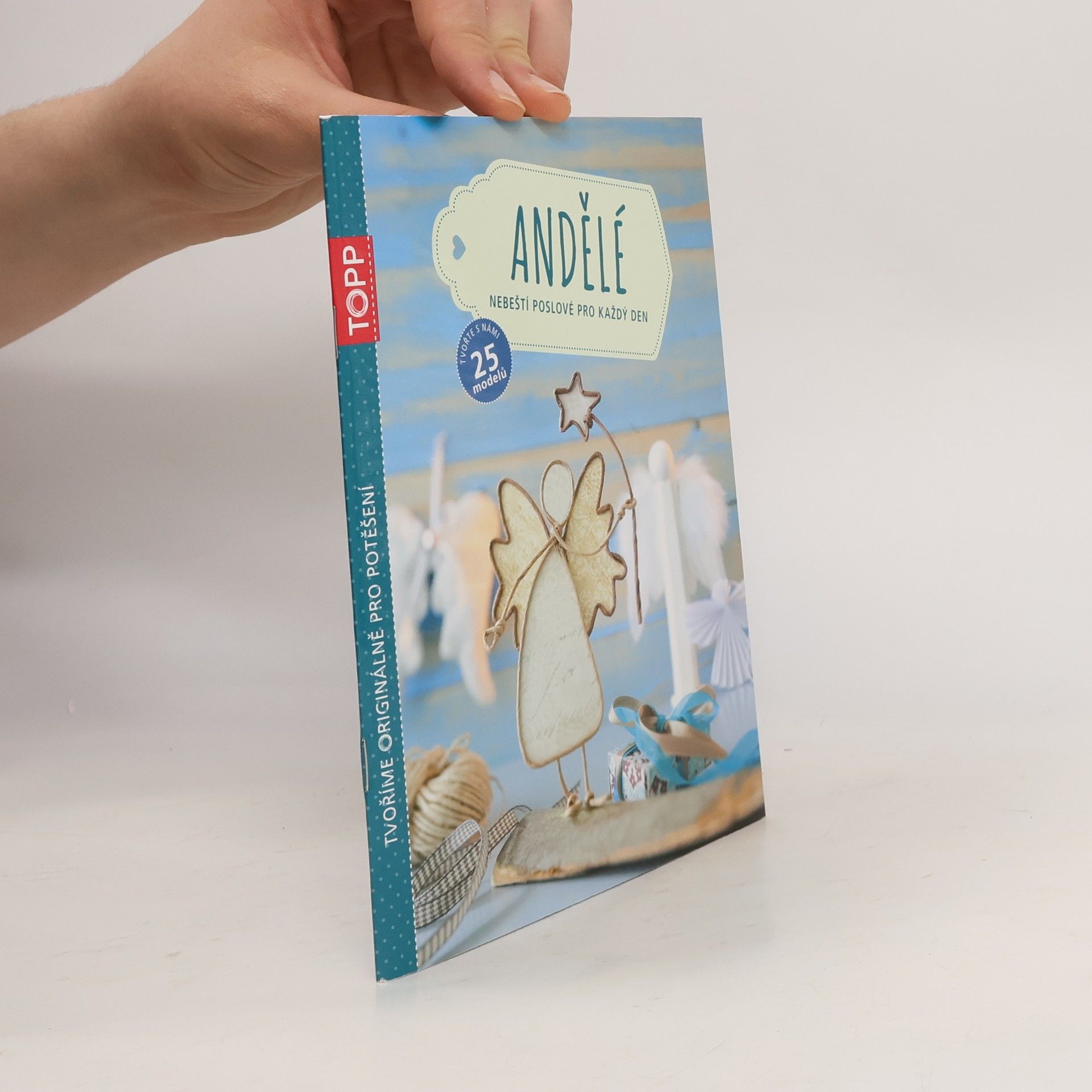 Collectif d'auteurs Andělé: Nebeští poslové pro každý den