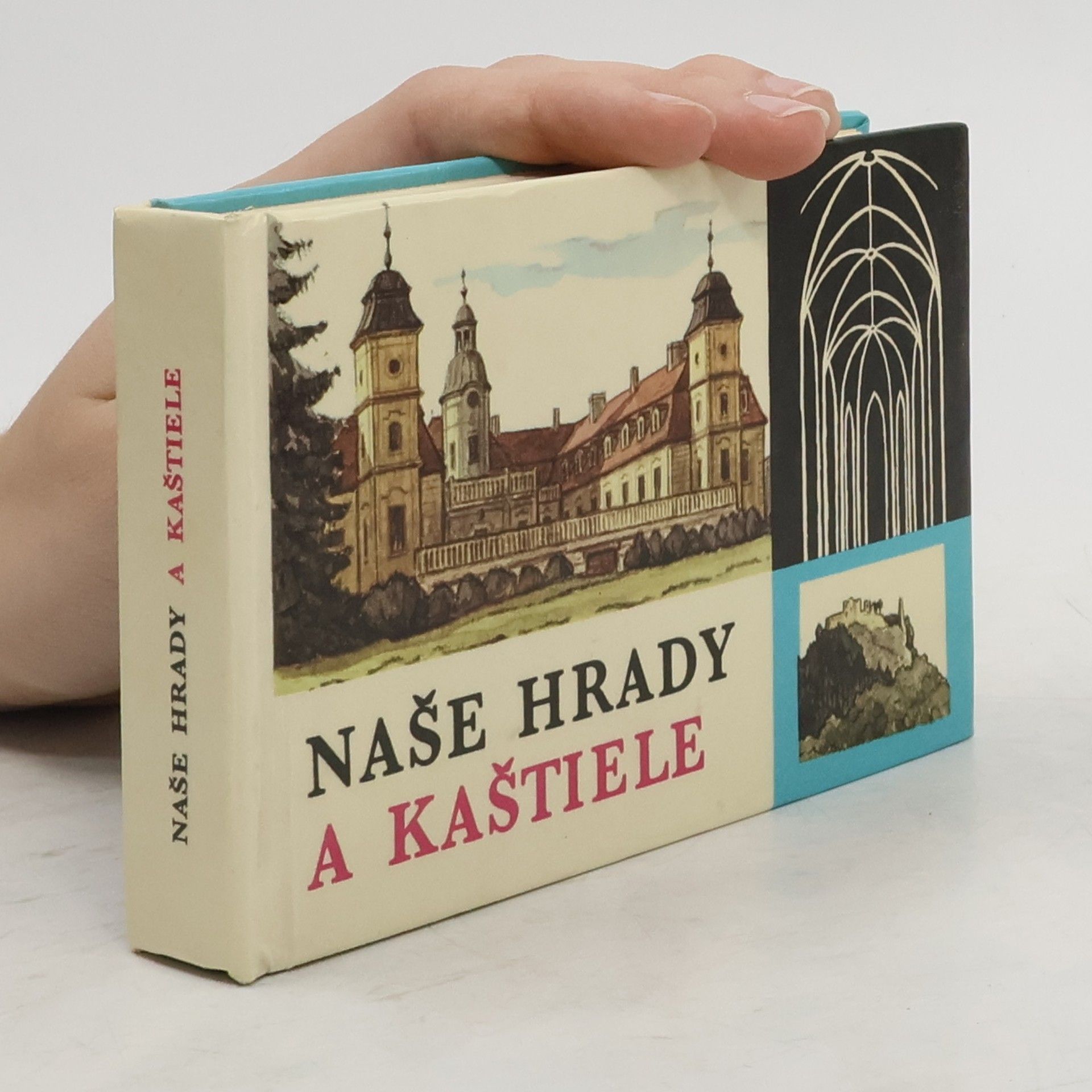 Štefan Pisoň Naše hrady a kaštiele