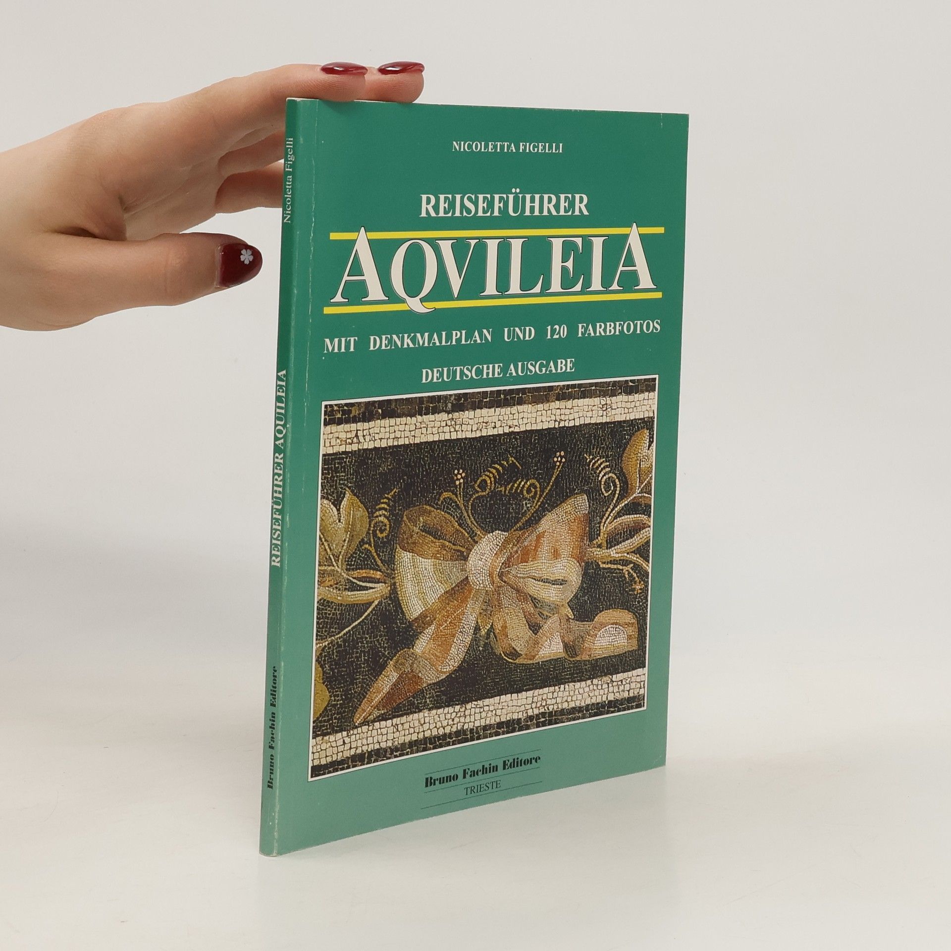 Nicoletta Figelli Reiseführer Aqvileia