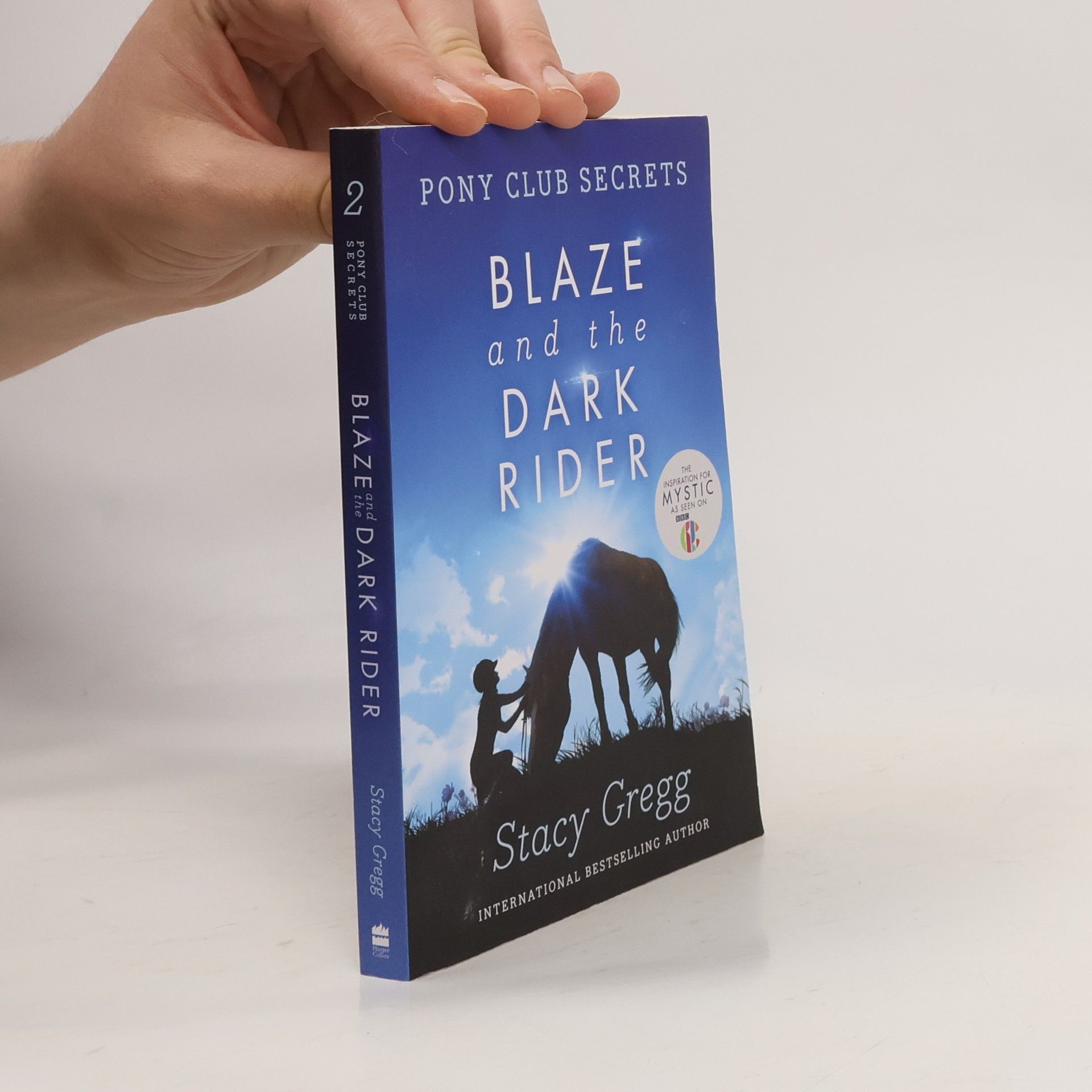 Stacy Gregg Blaze and the Dark Rider