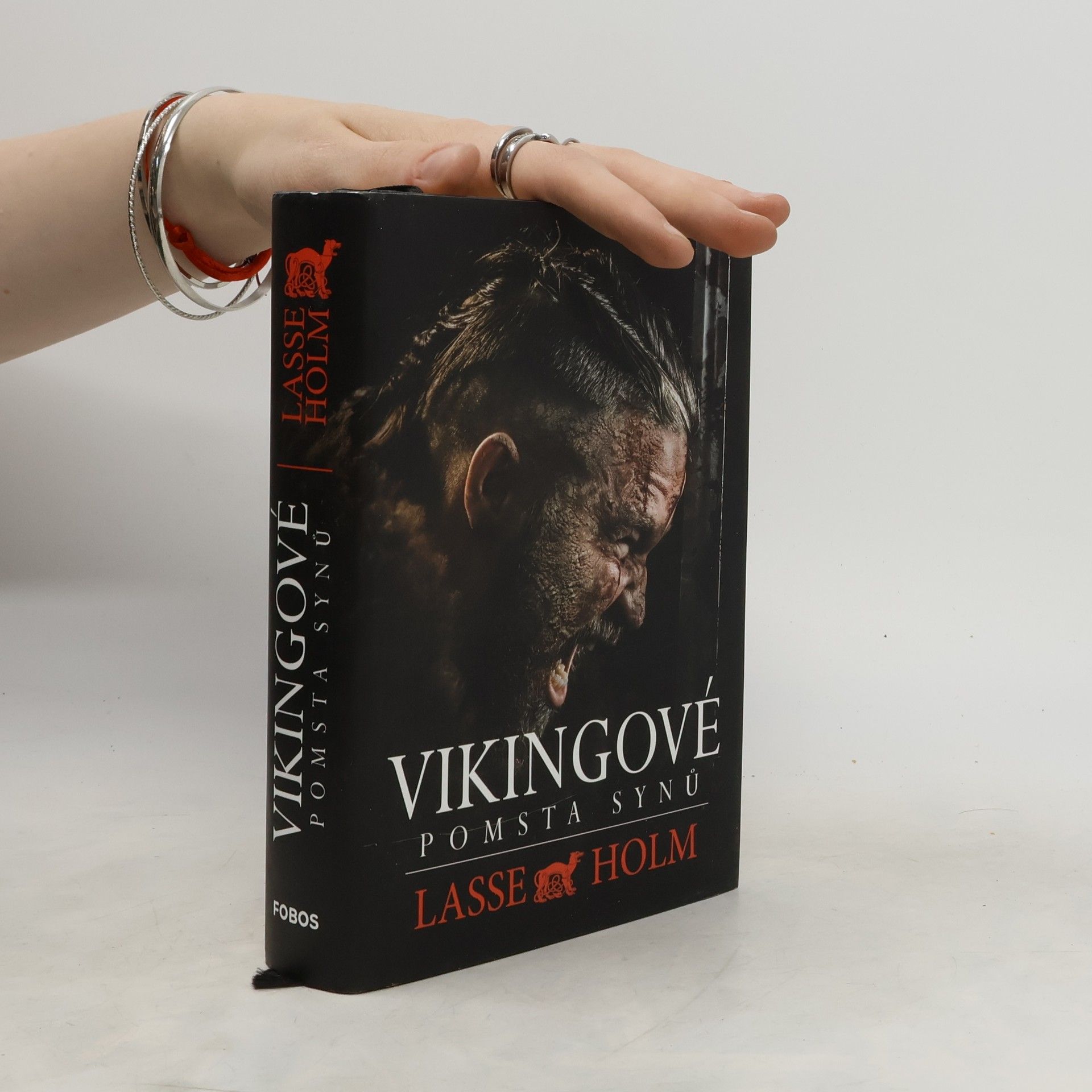 Lasse Holm Vikingové. Pomsta synů