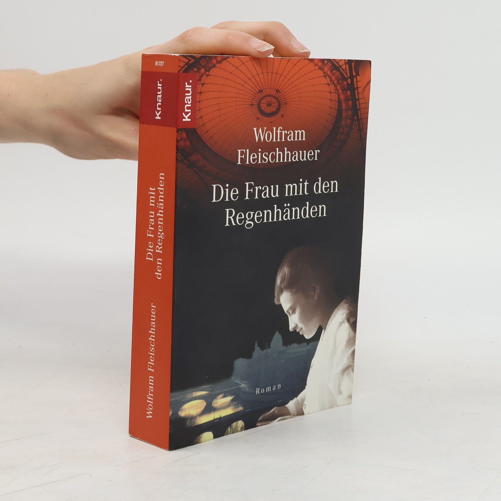Wolfram Fleischhauer Die Frau mit den Regenhänden