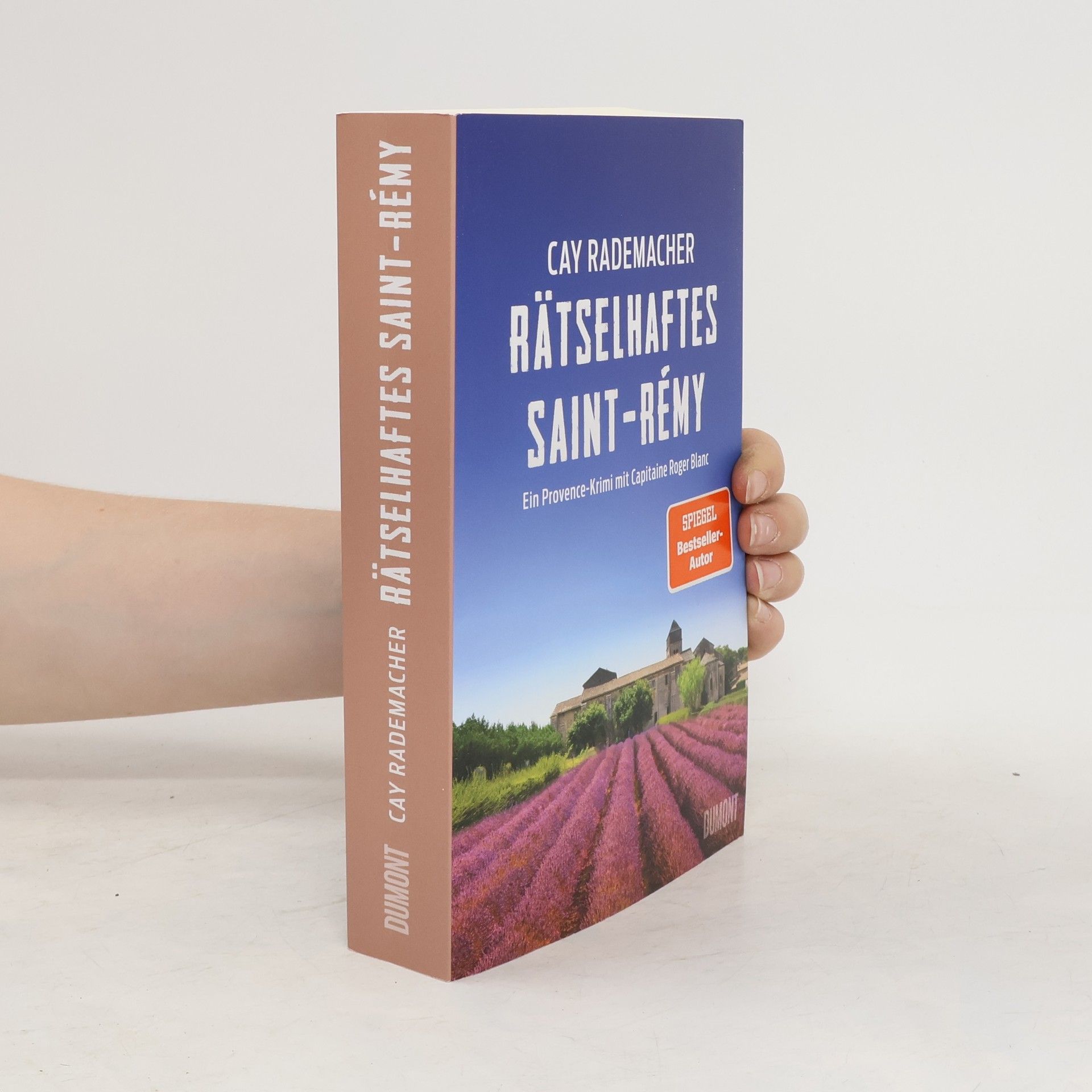 Cay Rademacher Rätselhaftes Saint-Rémy