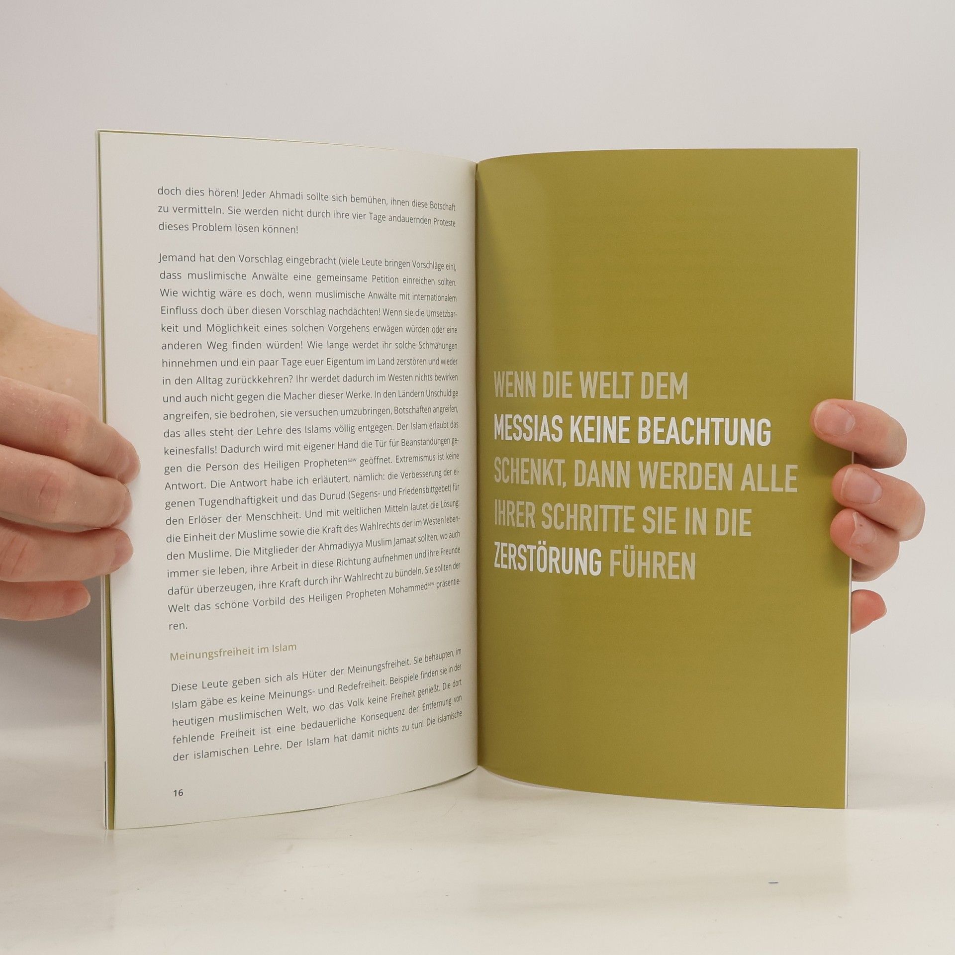 Autorenkollektiv Die Wahre Liebe zum Heiligen Propheten