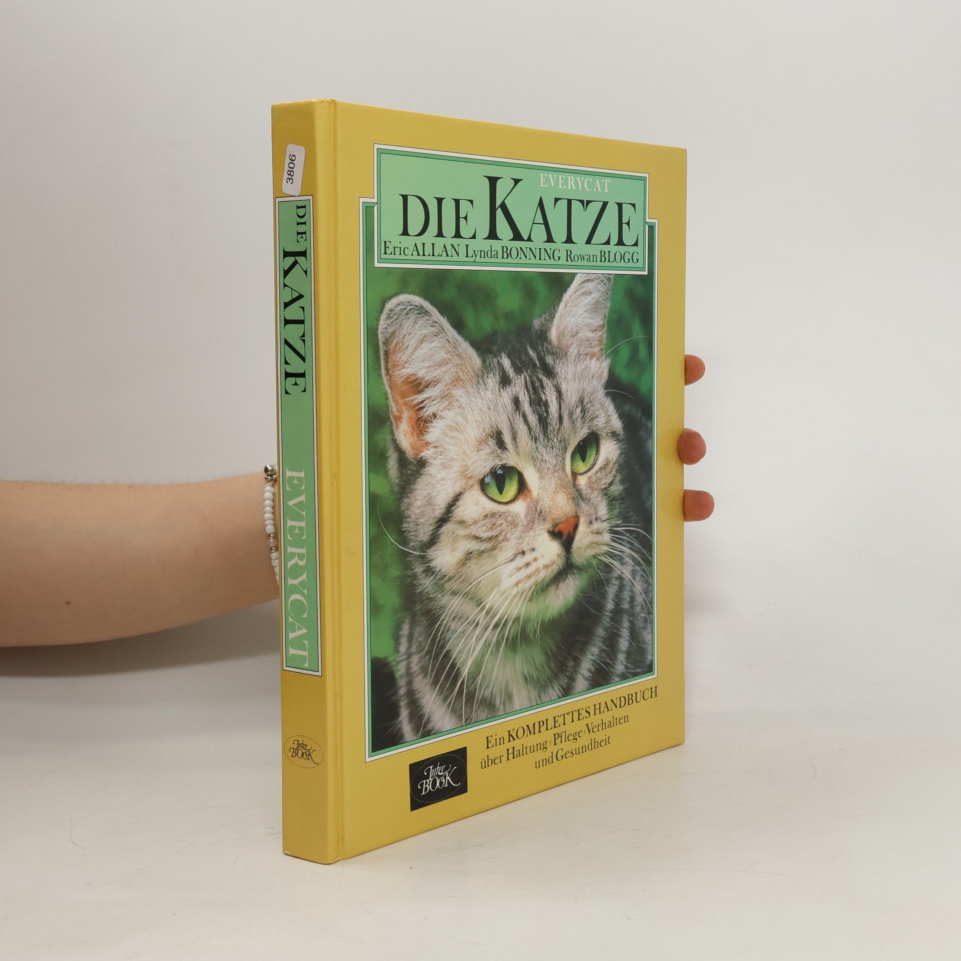 Erich Allan Everycat. Die Katze