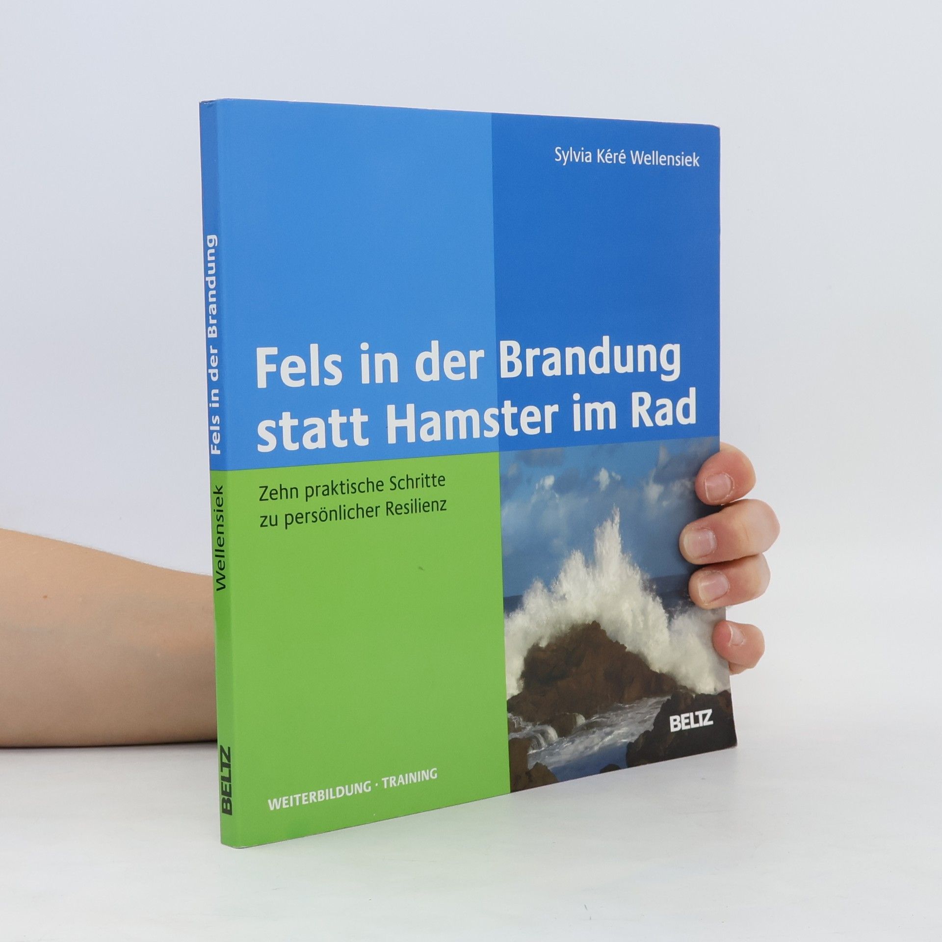Sylvia Kéré Wellensiek Fels in der Brandung statt Hamster im Rad