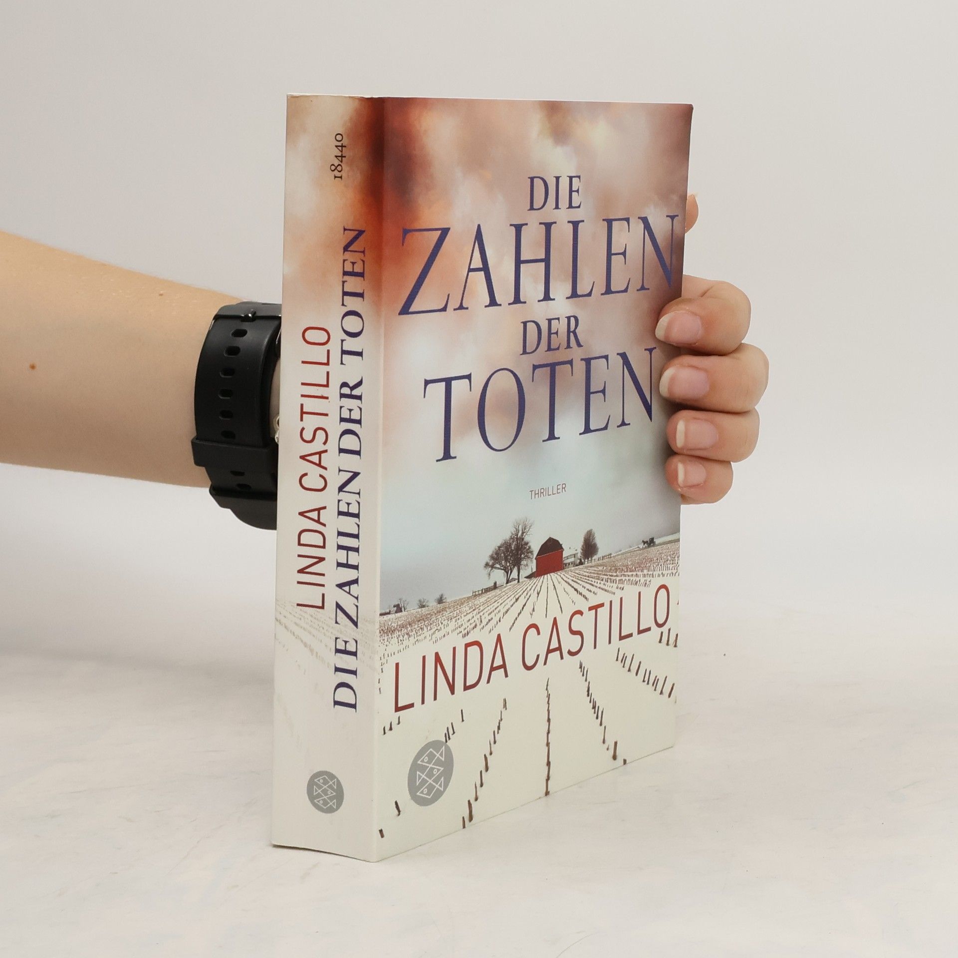Linda Castillo Die Zahlen der Toten