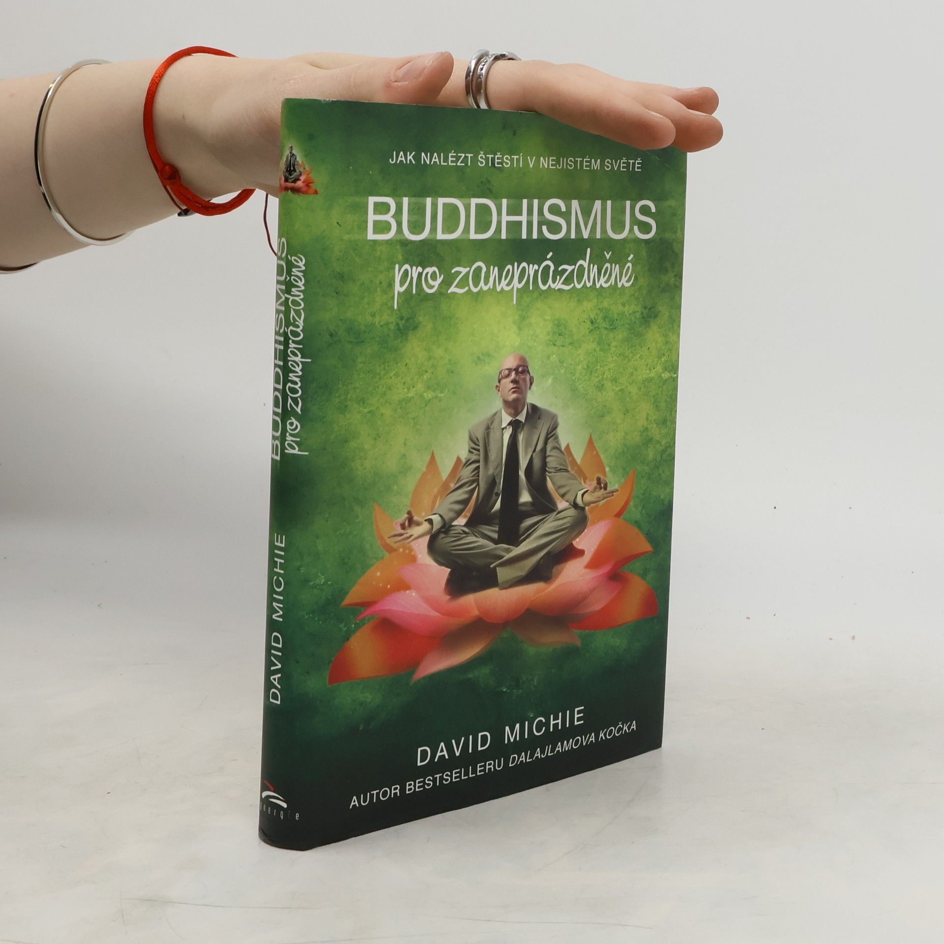 David Michie Buddhismus pro zaneprázdněné