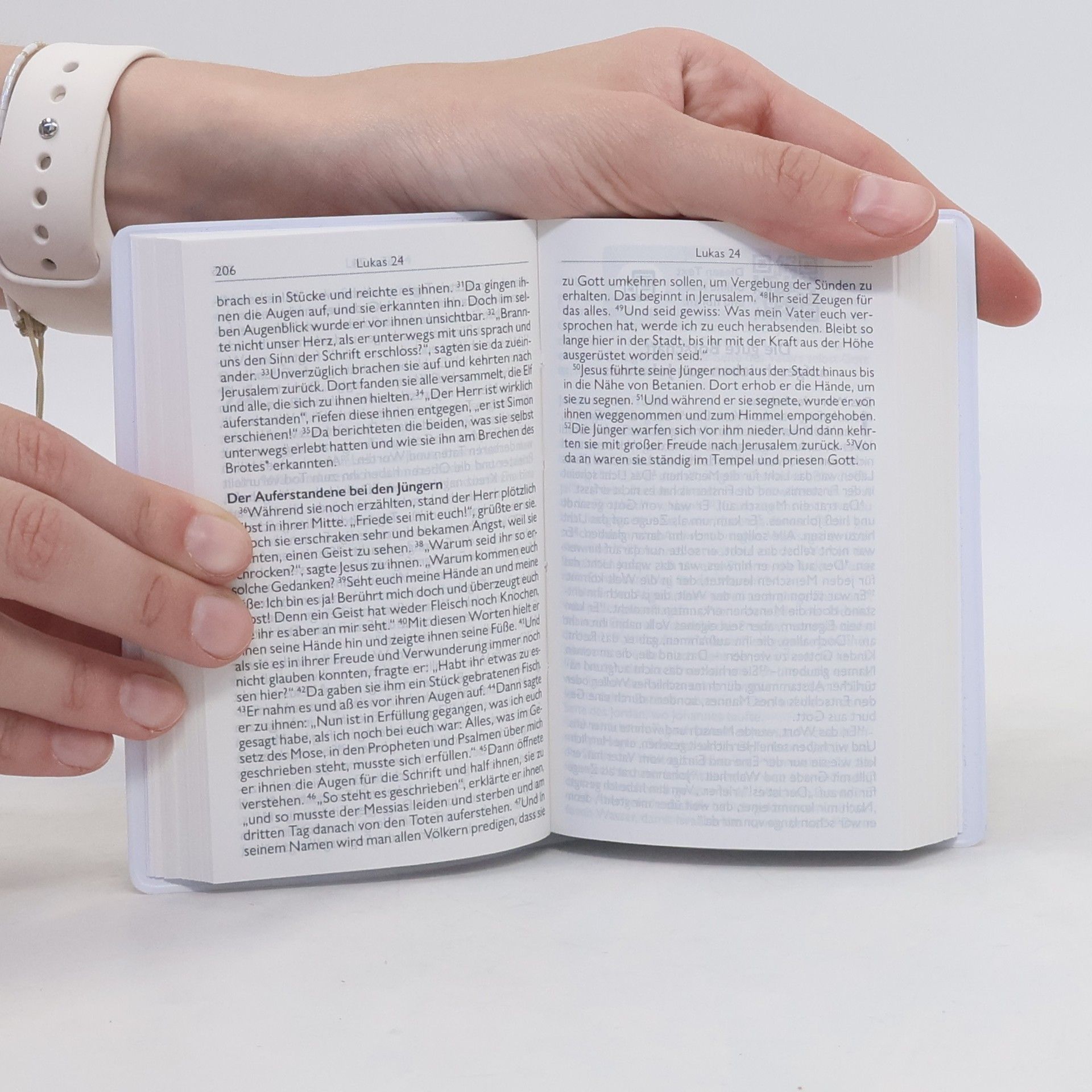 Autorenkollektiv bibel.heute