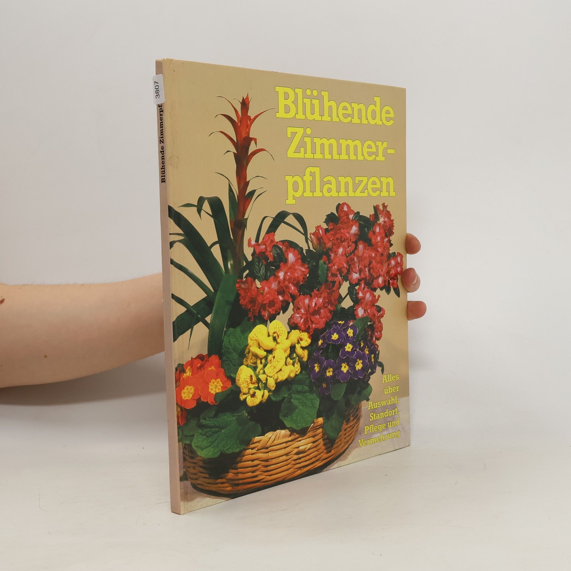 Dieter Herbel Blühende Zimmerpflanzen