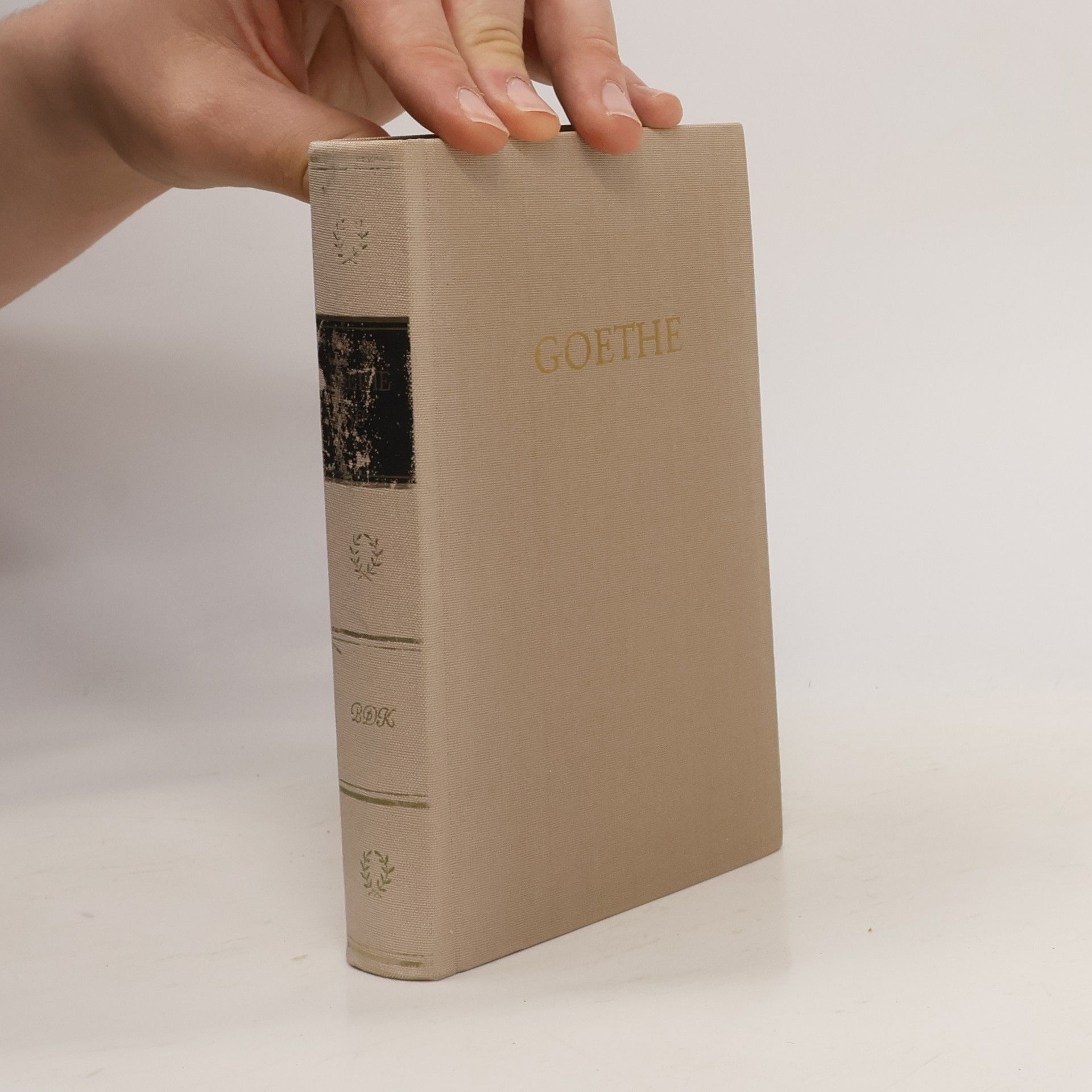 Johann Wolfgang von Goethe Goethe 10: Italienische Reise