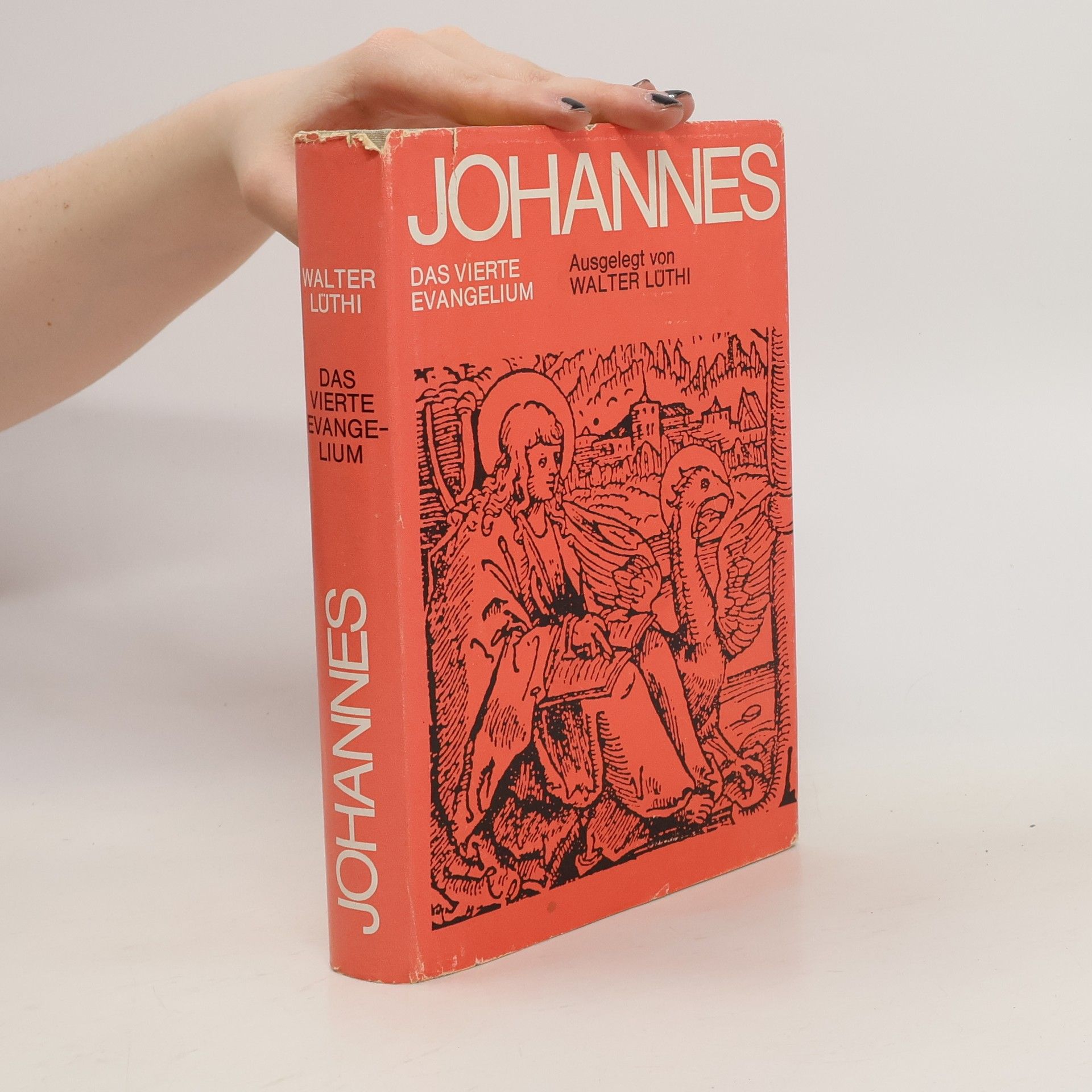 Walter Lüthi Johannes, das vierte Evangelium