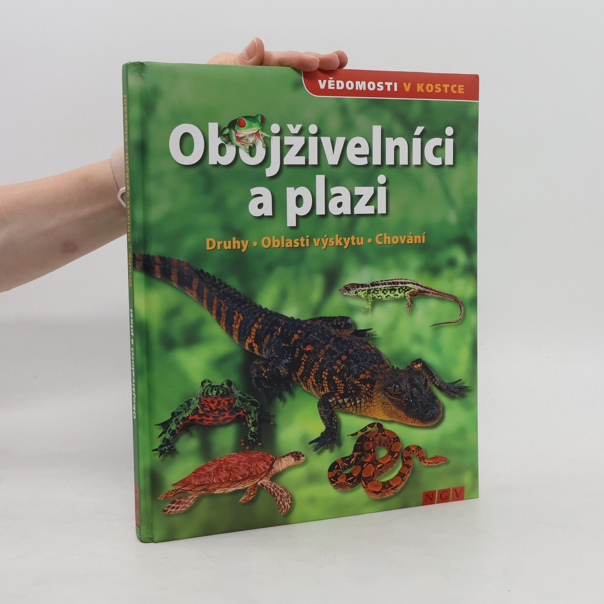 Martin Sobkuljak Obojživelníci a plazi