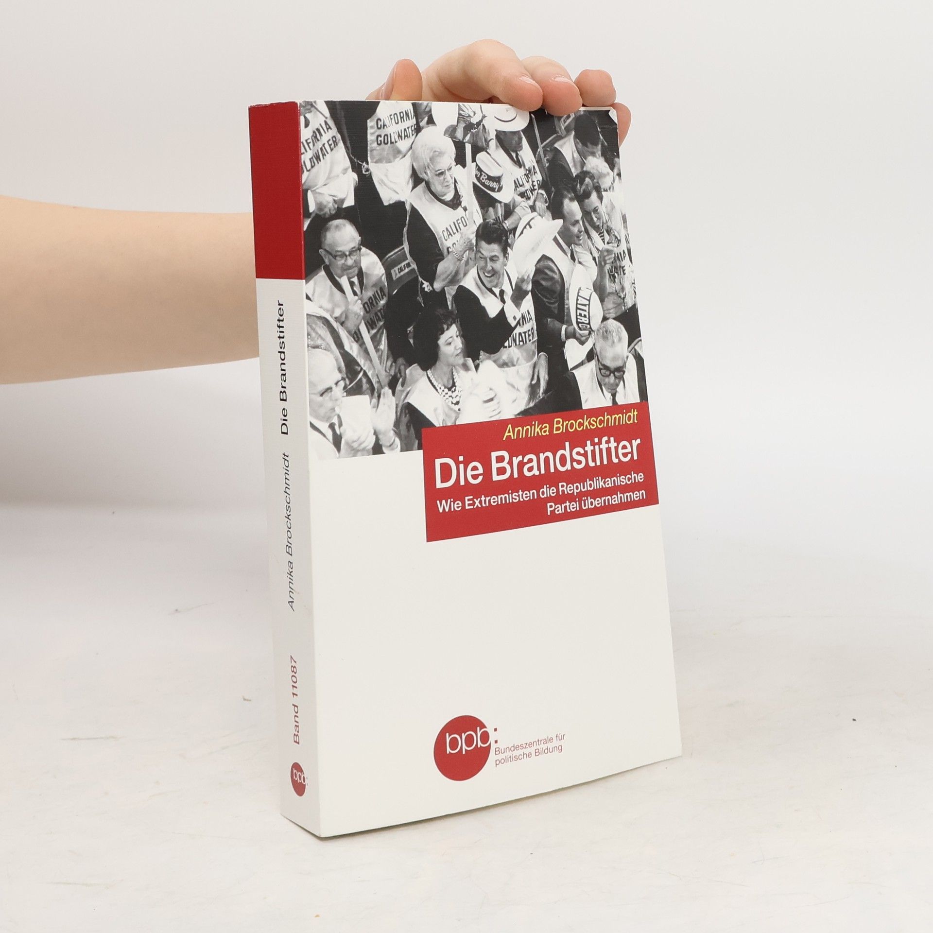 Annika Brockschmidt Die Brandstifter