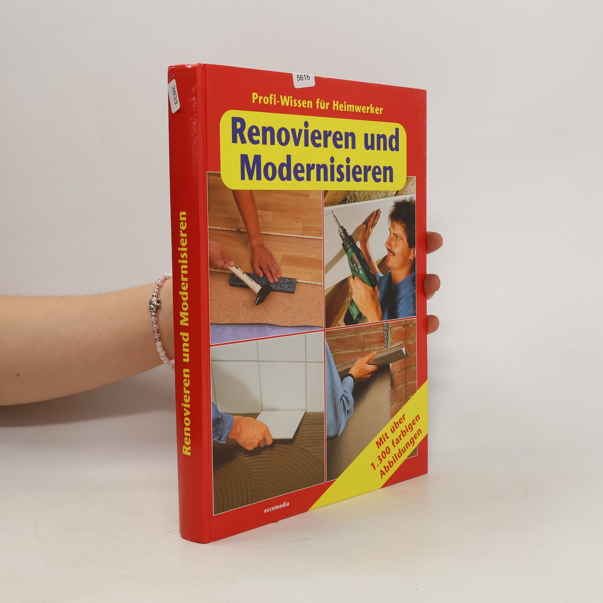 Autorenkollektiv Renovieren und Modernisieren