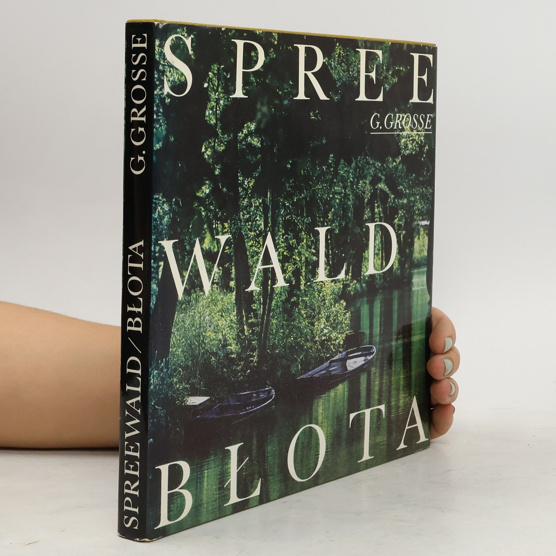Gerald Grosse Spreewald / Błota
