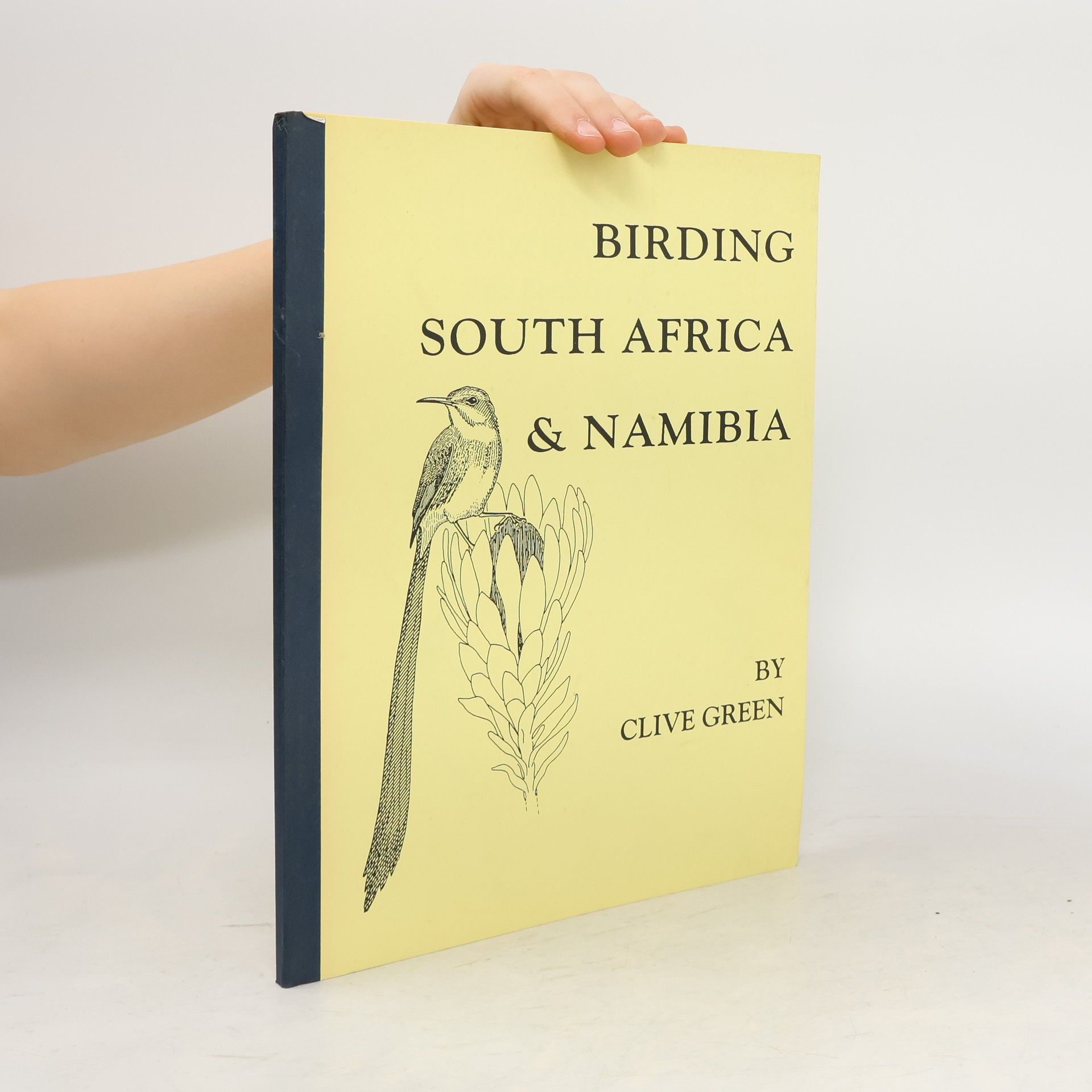 Clive Green Birding South Africa & Namibia