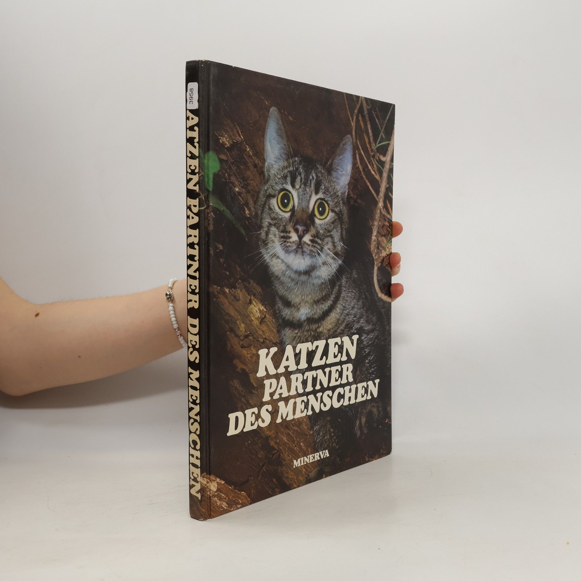 Karsten Diettrich Katzen. Partner des Menschen