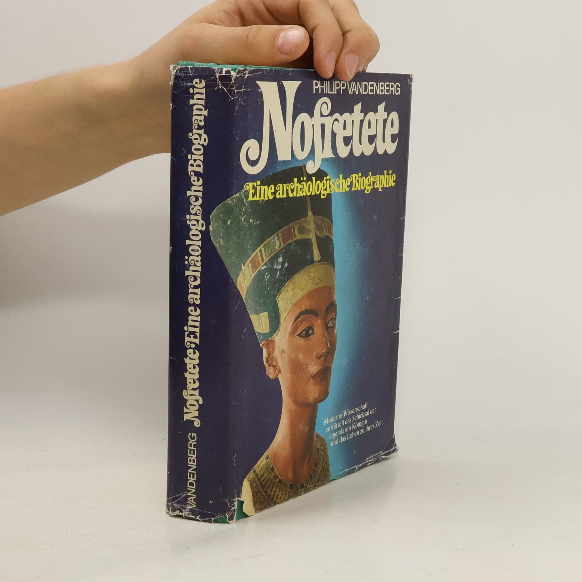 Philipp Vandenberg Nofretete und ihre Zeit. Eine archäologische Biografie