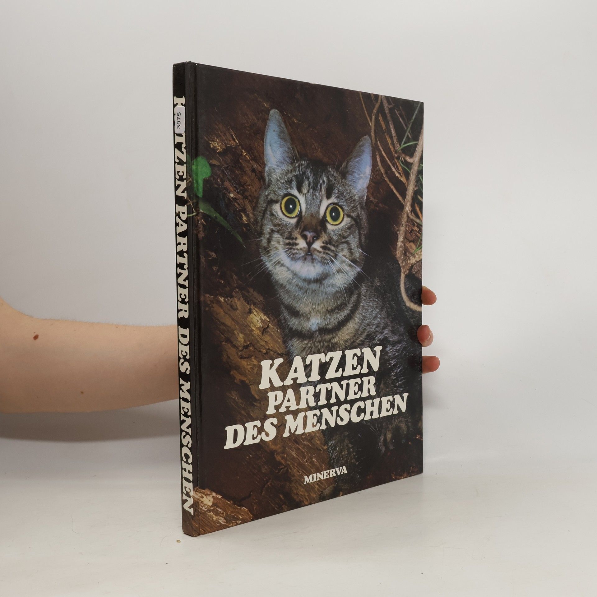 kolektiv Katzen Partner des Menschen