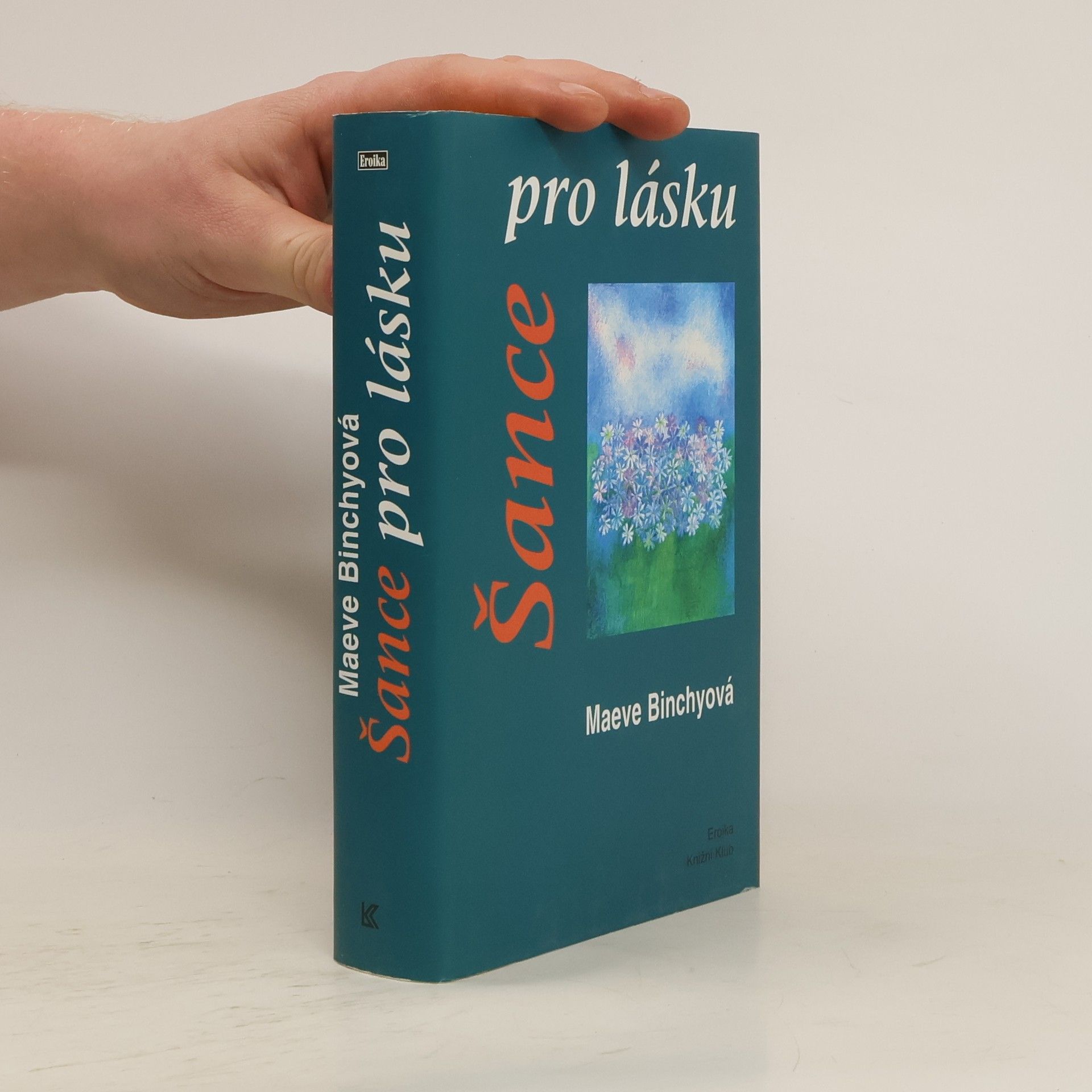 Maeve Binchy Šance pro lásku