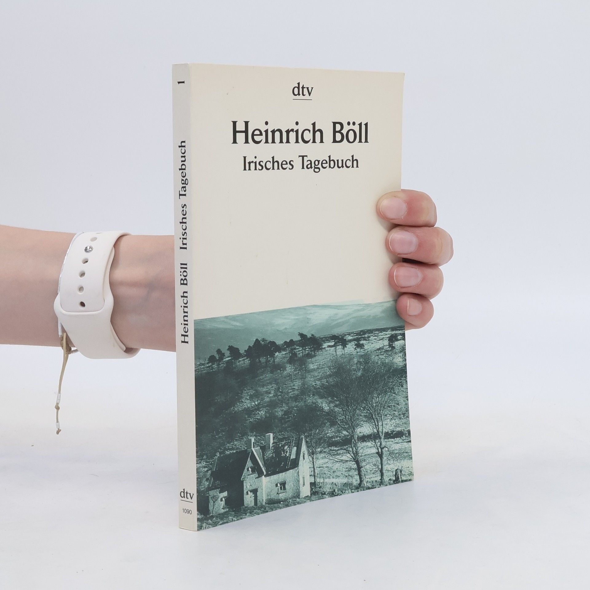 Heinrich Böll Irisches Tagebuch