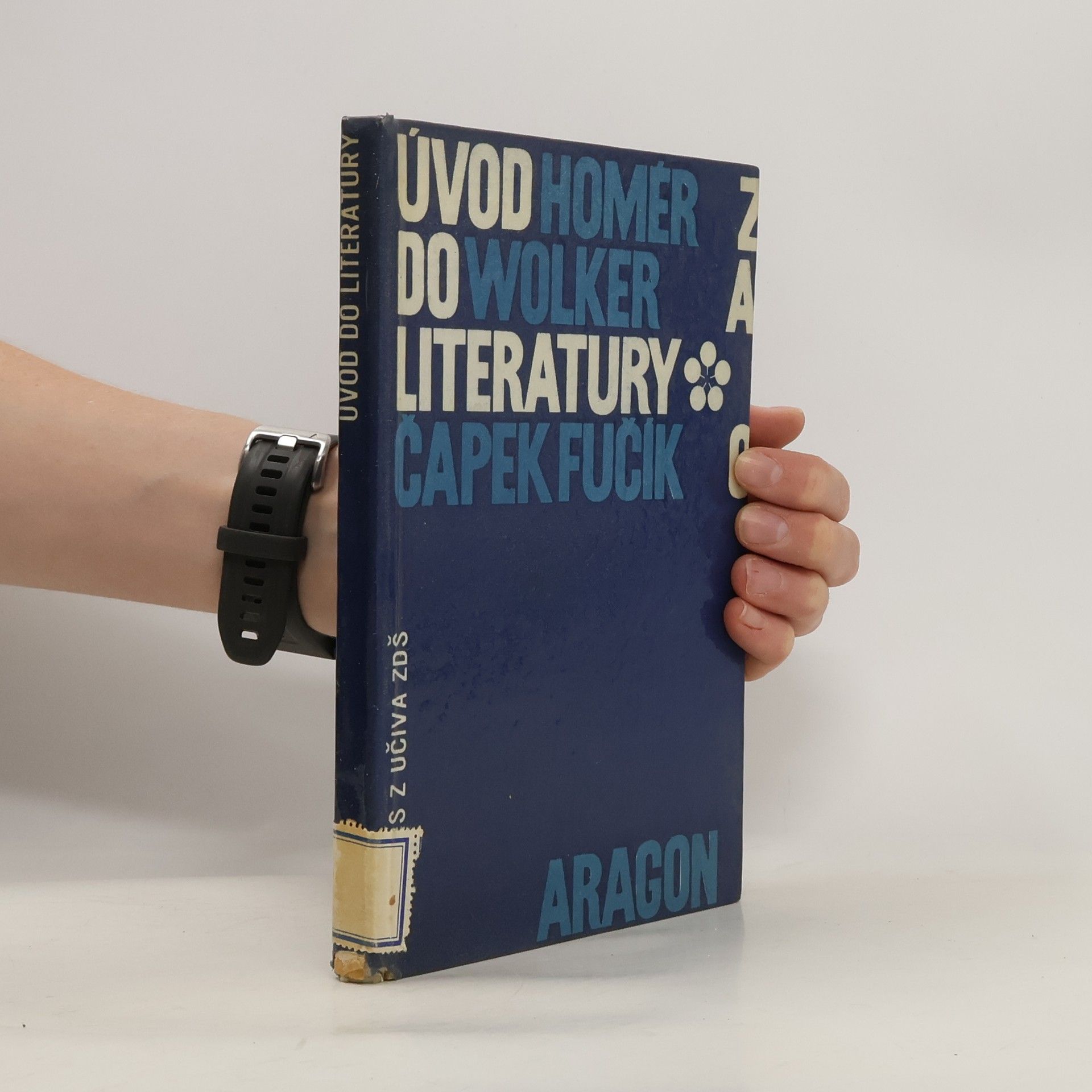 Anna Brožová Úvod do literatury