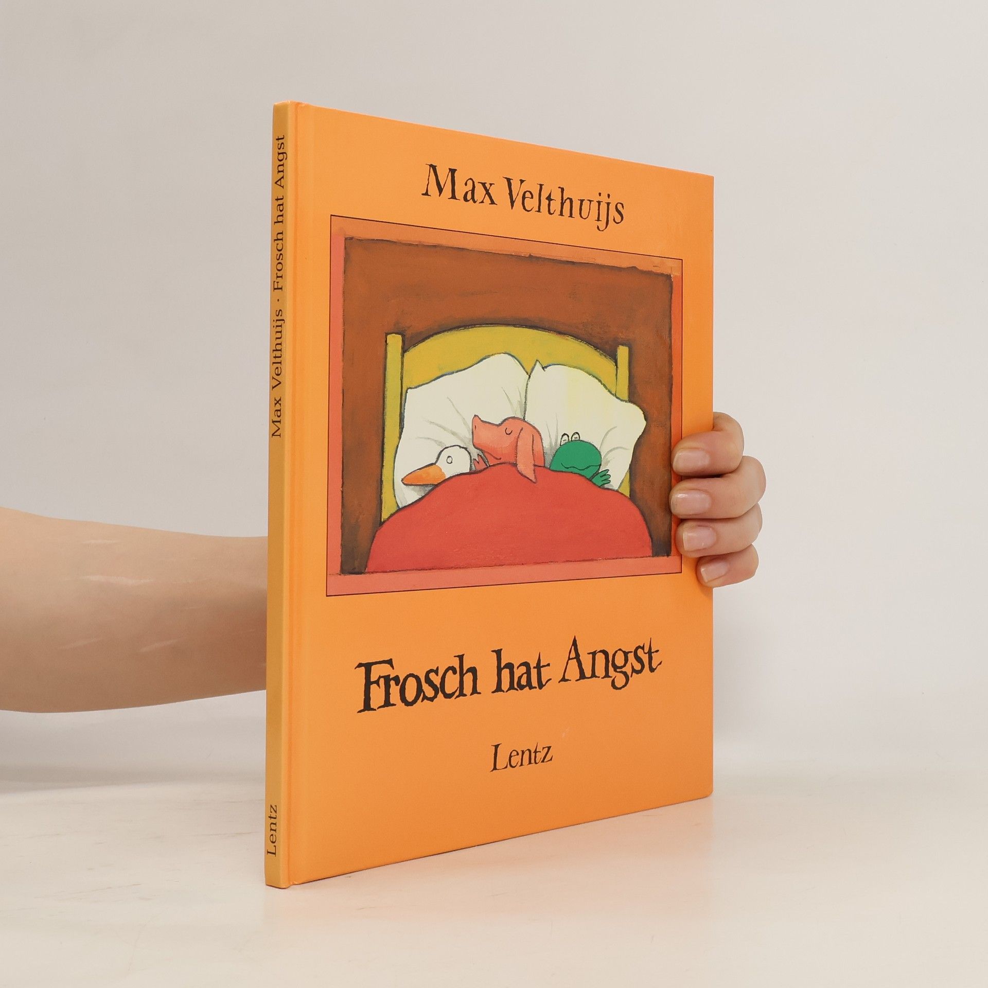 Max Velthuijs Frosch hat Angst