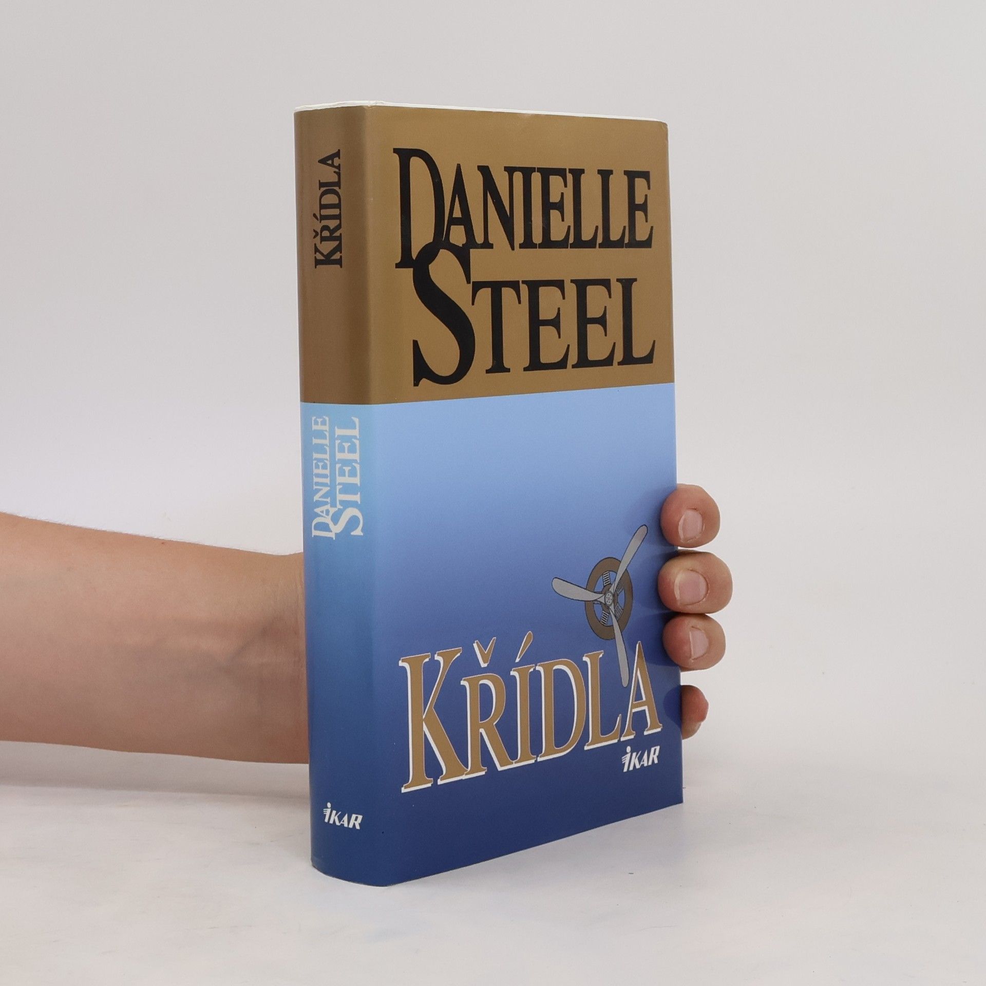 Danielle Steel Křídla