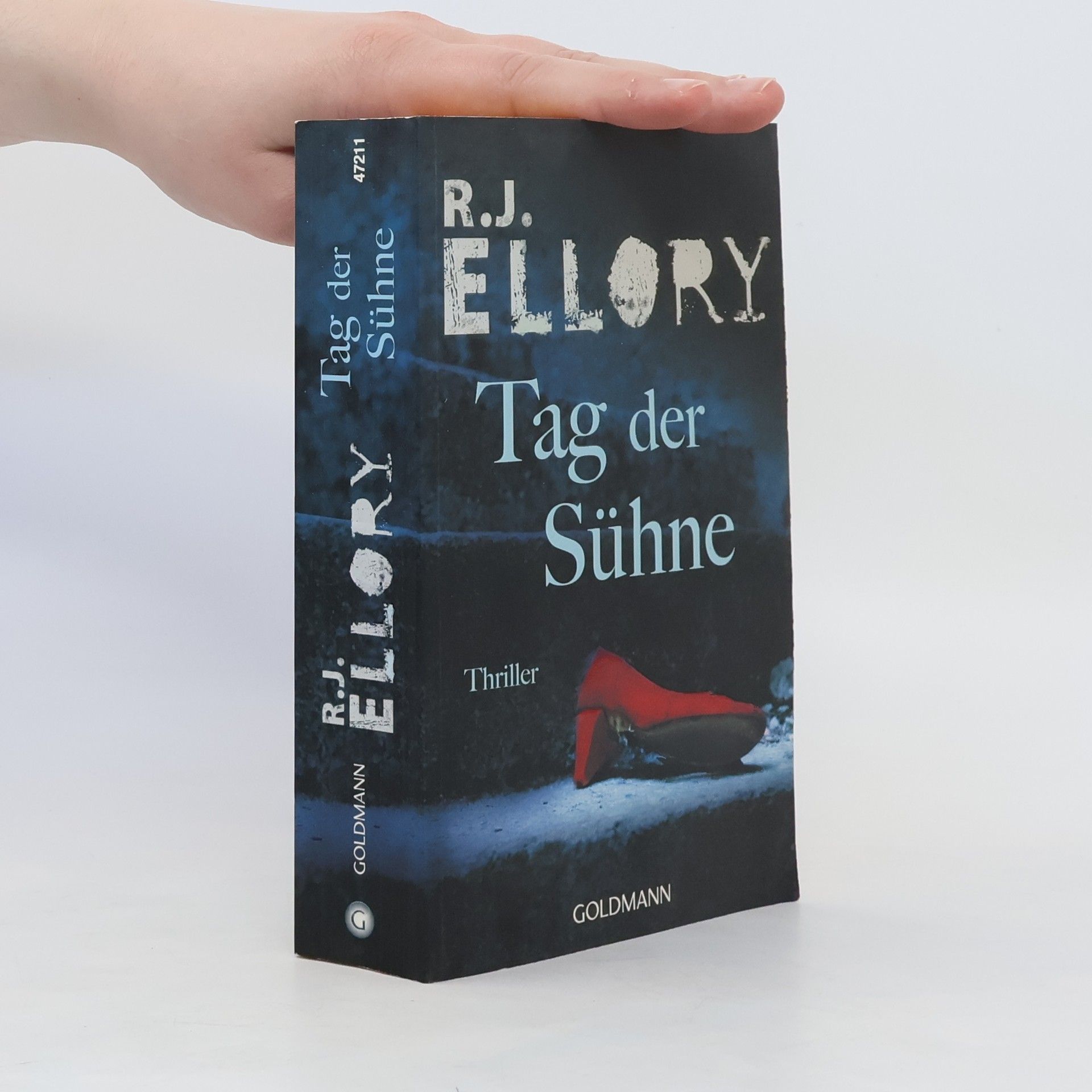 Roger Jon Ellory Tag der Sühne