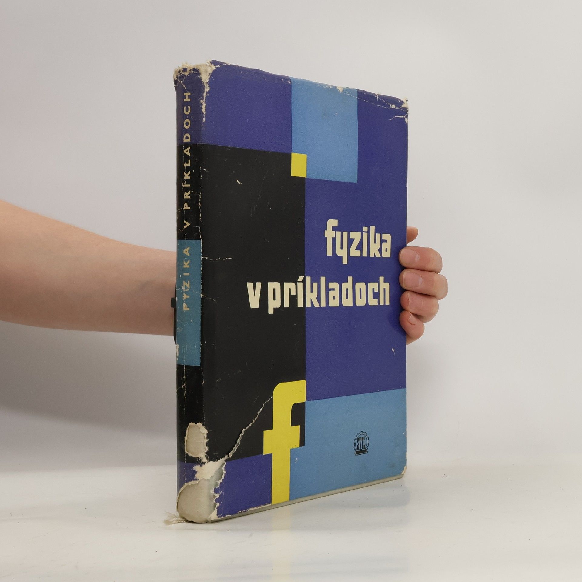Collectif d'auteurs Fyzika v príkladoch